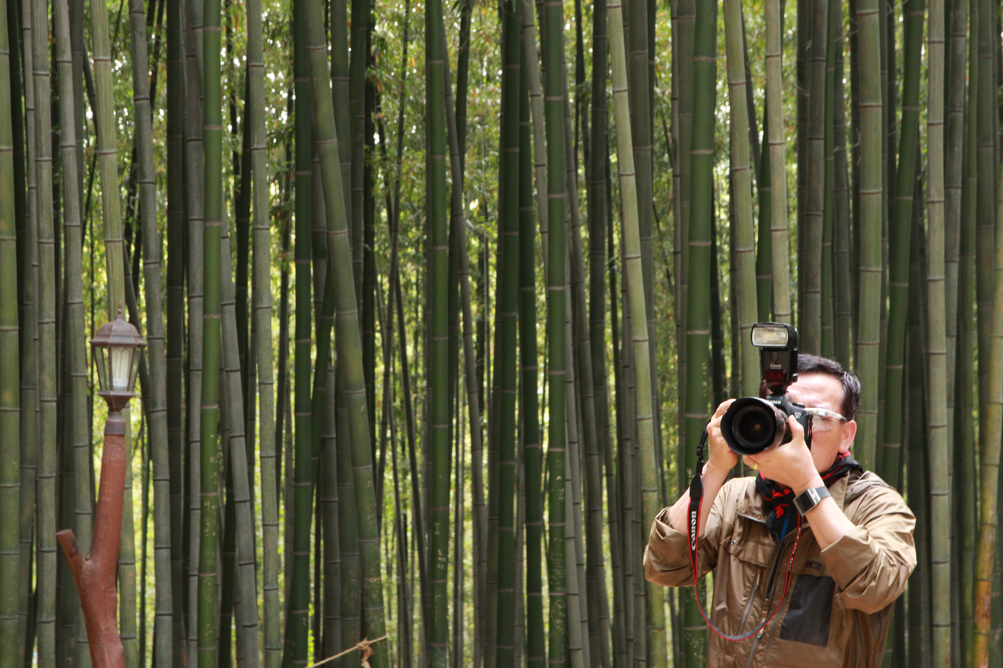 Sigma 17-70mm F2.8-4 DC Macro OS HSM sample photo. Photographer photography