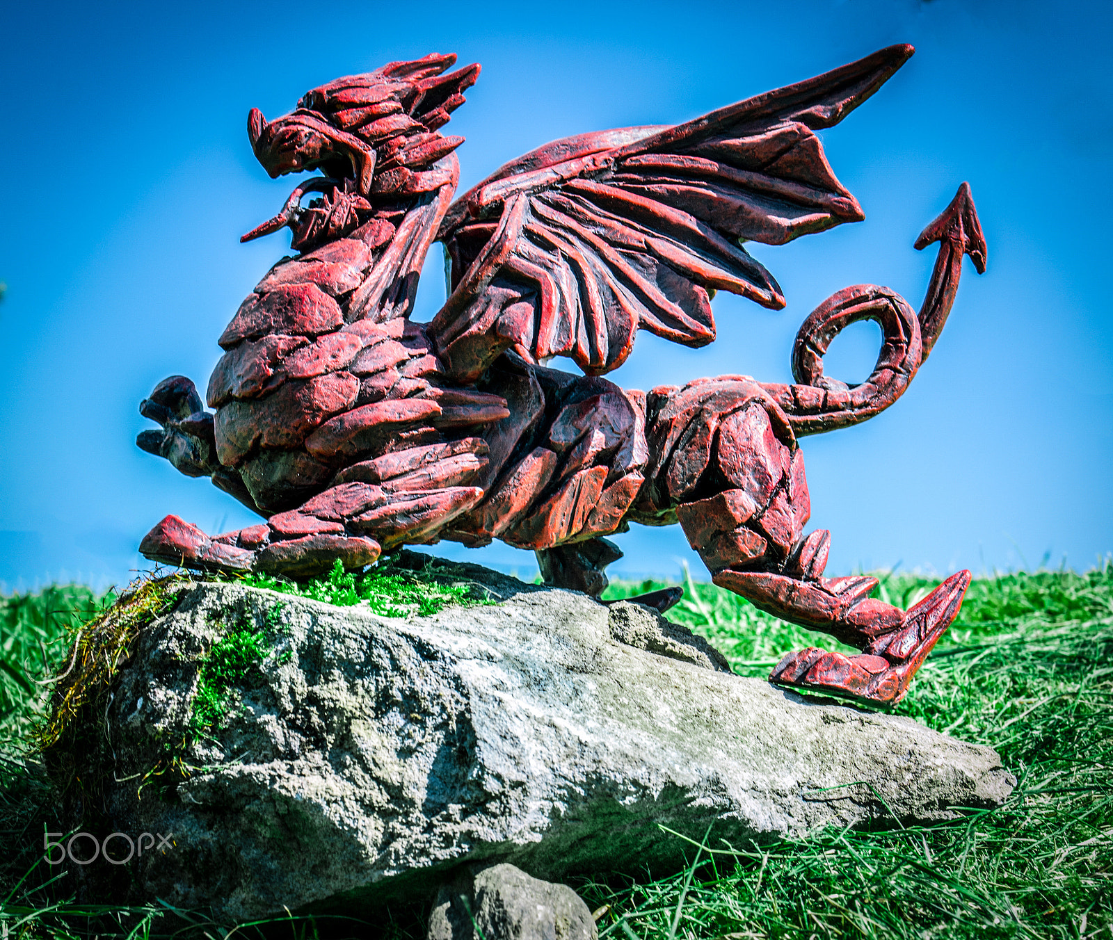 Sigma 17-70mm F2.8-4 DC Macro OS HSM sample photo. Ddraig goch ii photography