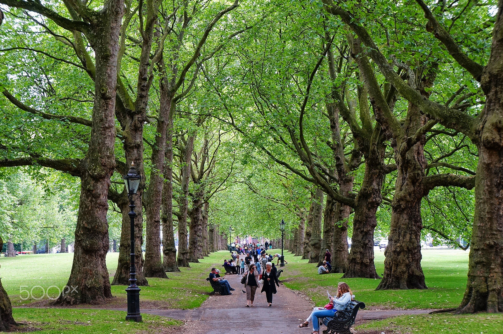 Sony E 18-55mm F3.5-5.6 OSS sample photo. Green park photography