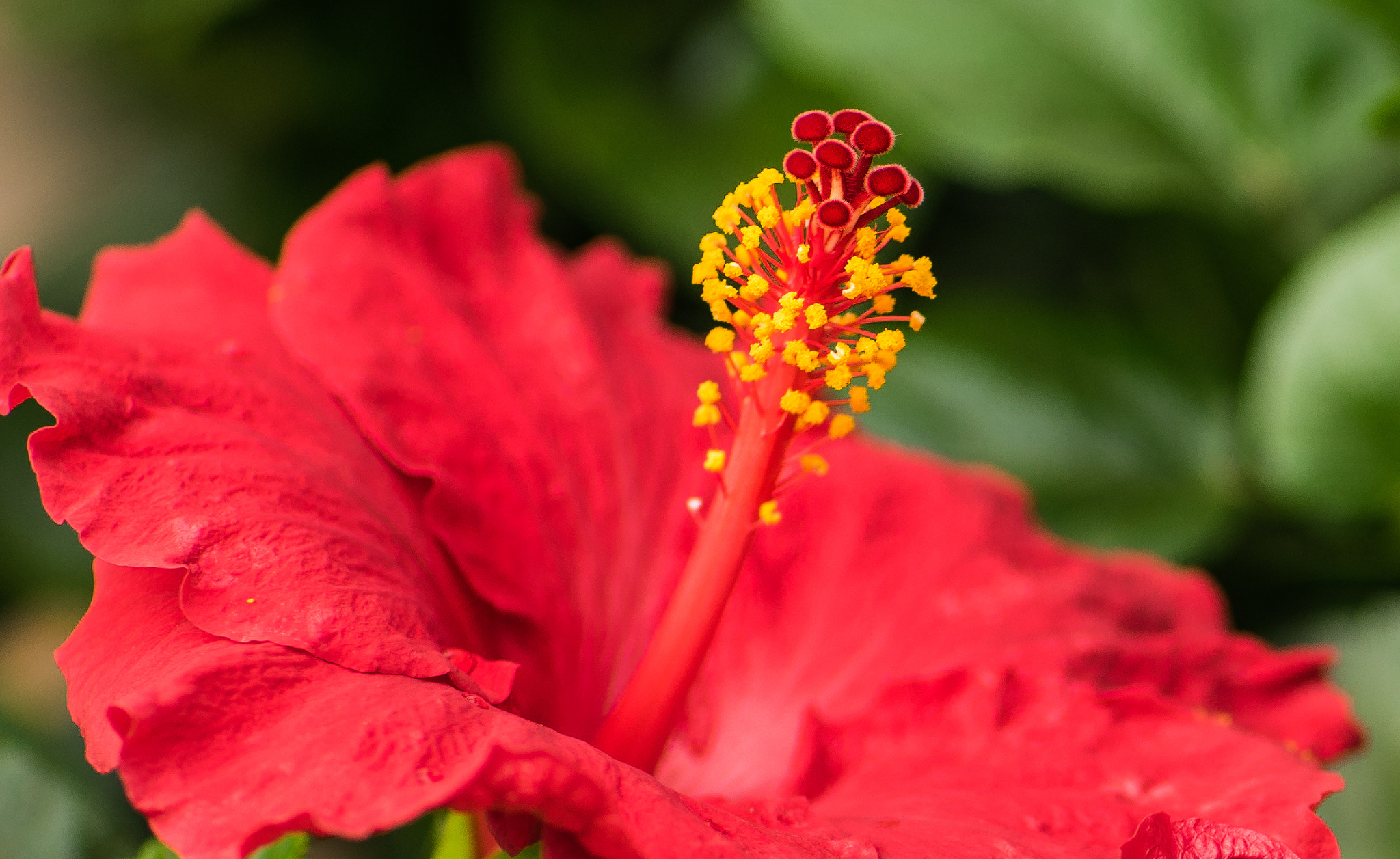 85mm F1.2 sample photo. _dsc0061-2.jpg photography