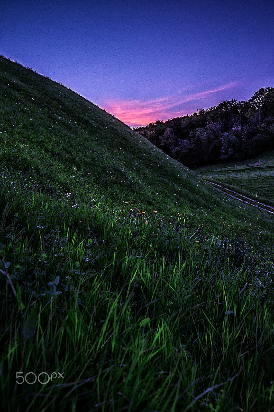 Canon EOS 60D + Canon EF 16-35mm F4L IS USM sample photo. In the valley of happiness photography