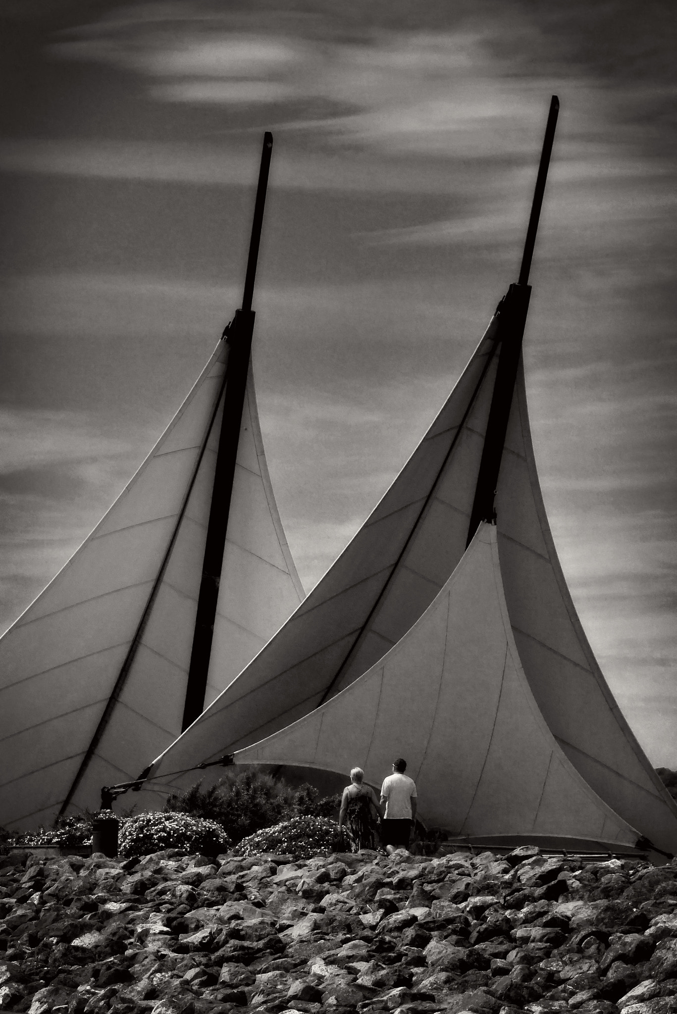 LUMIX G VARIO 35-100/F4.0-5.6 sample photo. The sails. photography