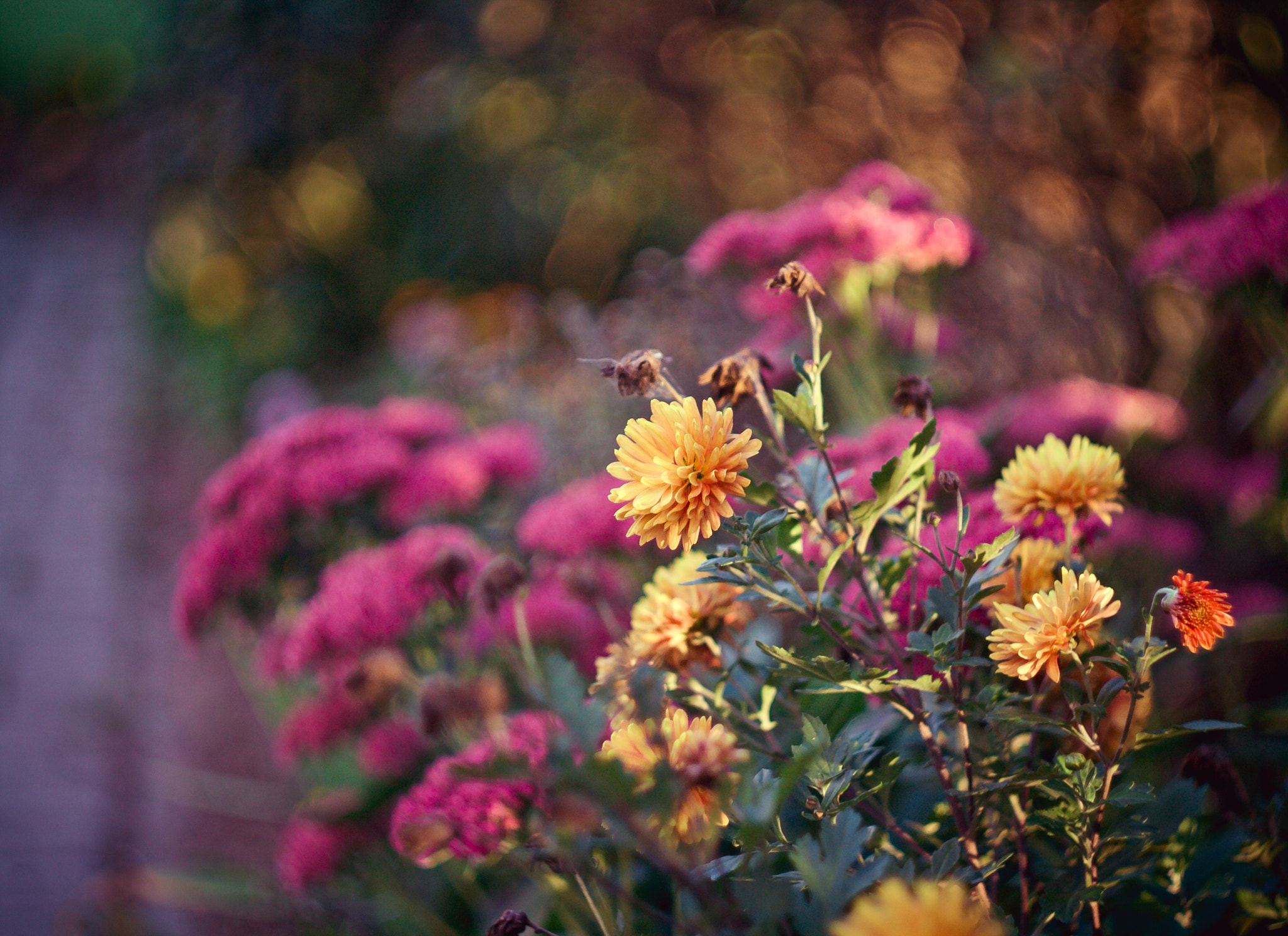 Canon EF 35-80mm f/4-5.6 sample photo