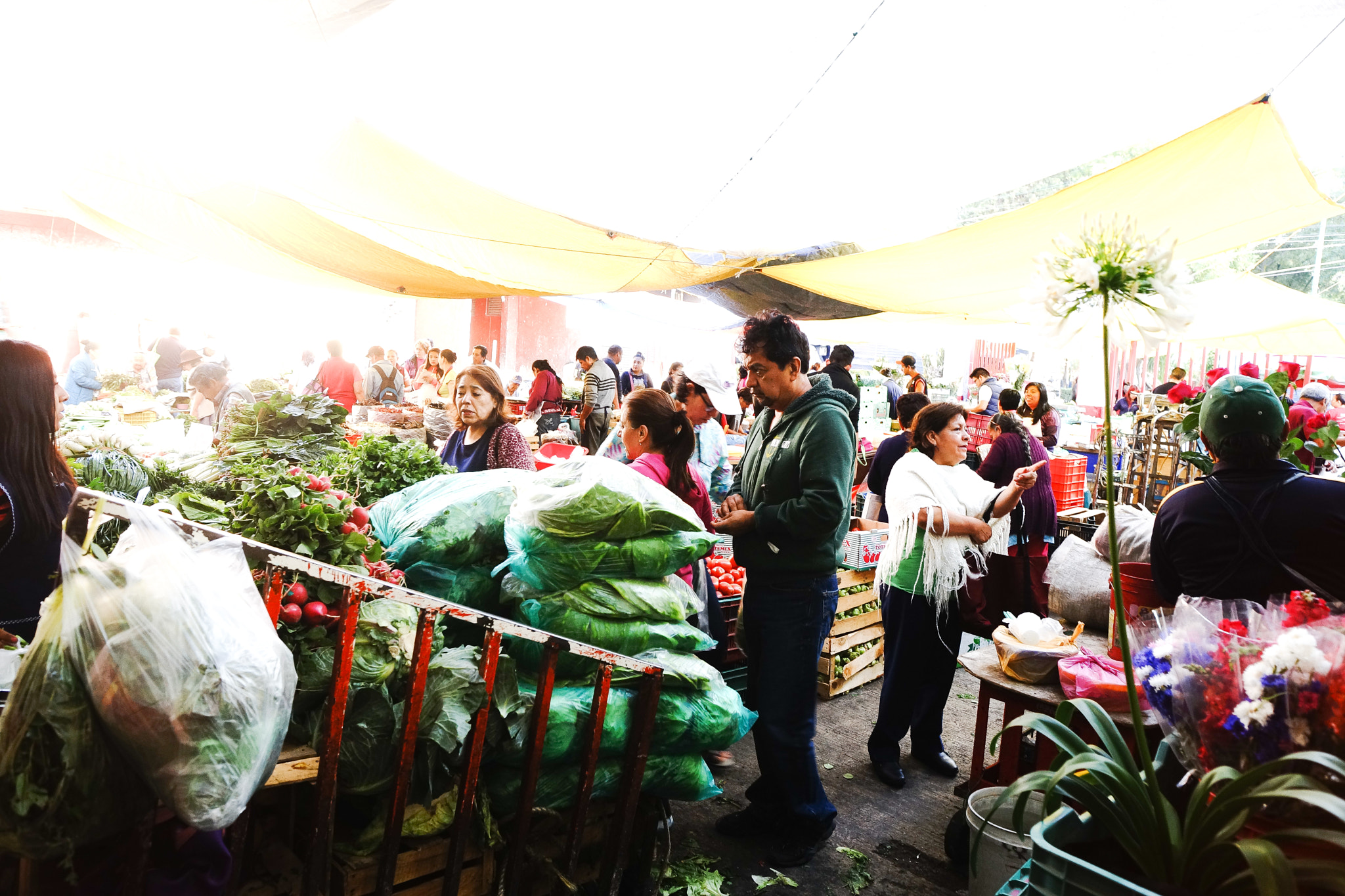 Sony SLT-A99V sample photo. Mercado matutino photography