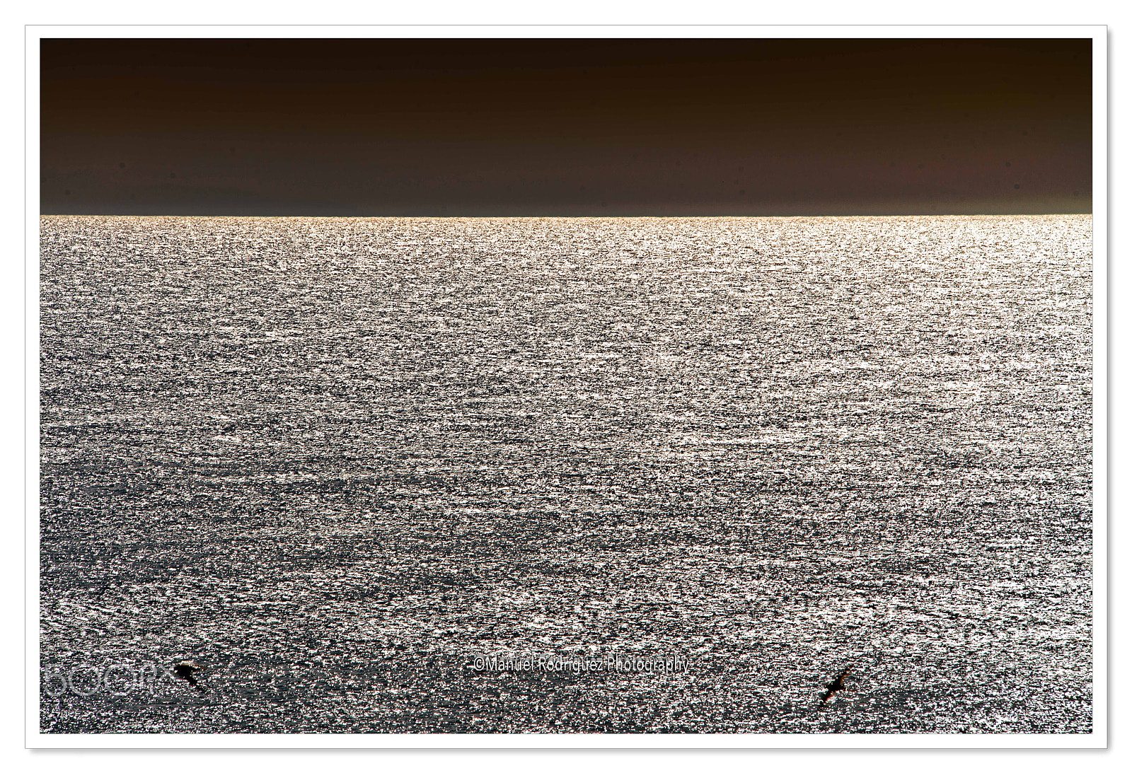 Sigma 120-400mm F4.5-5.6 DG OS HSM sample photo. Manuel rodriguez garcia photography