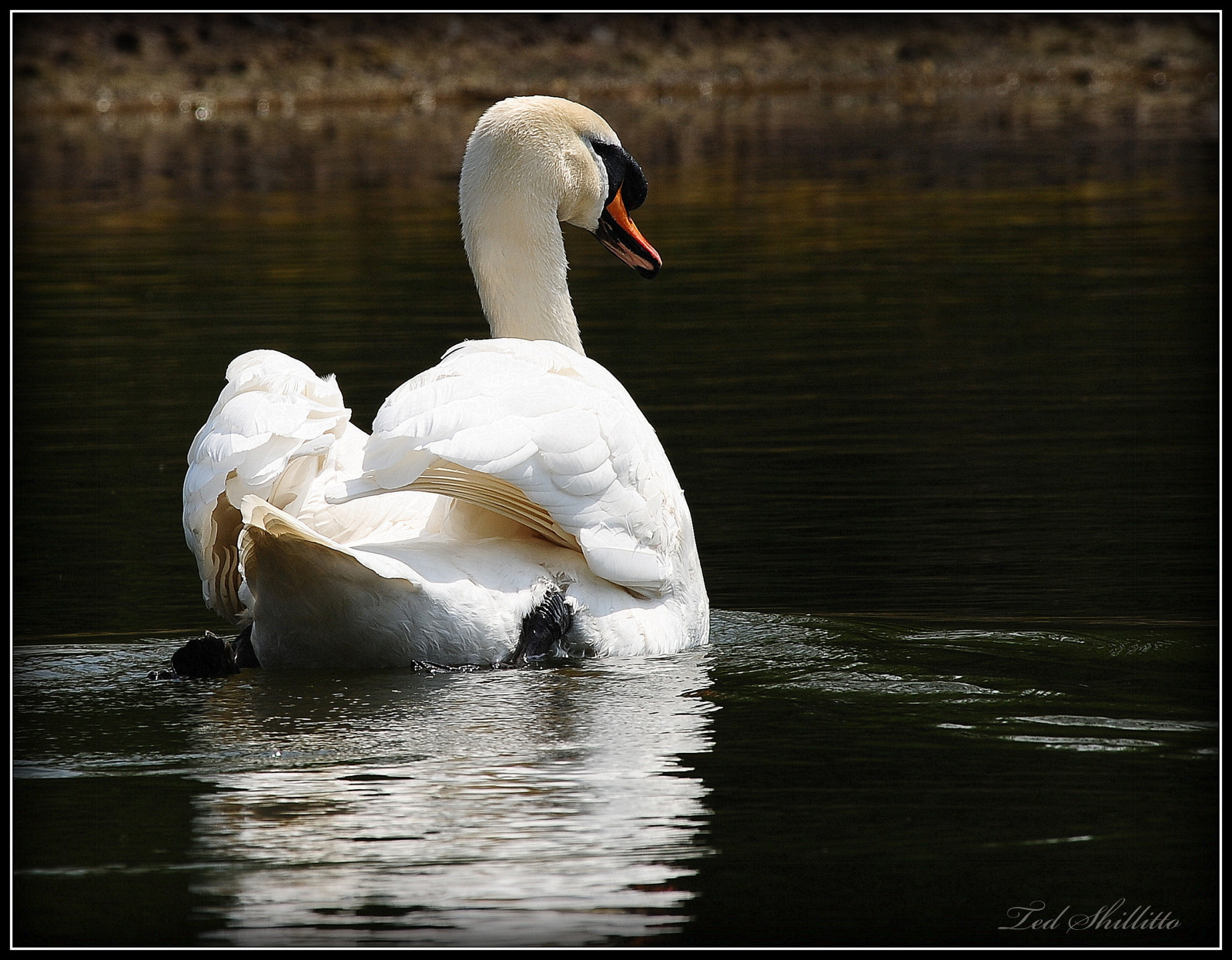 Nikon D3S sample photo. Ted_5760.jpg photography