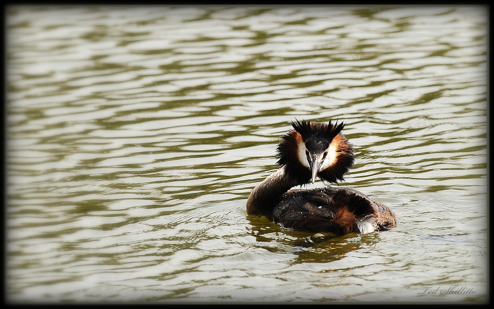 Nikon D3S sample photo. Ted_5850.jpg photography