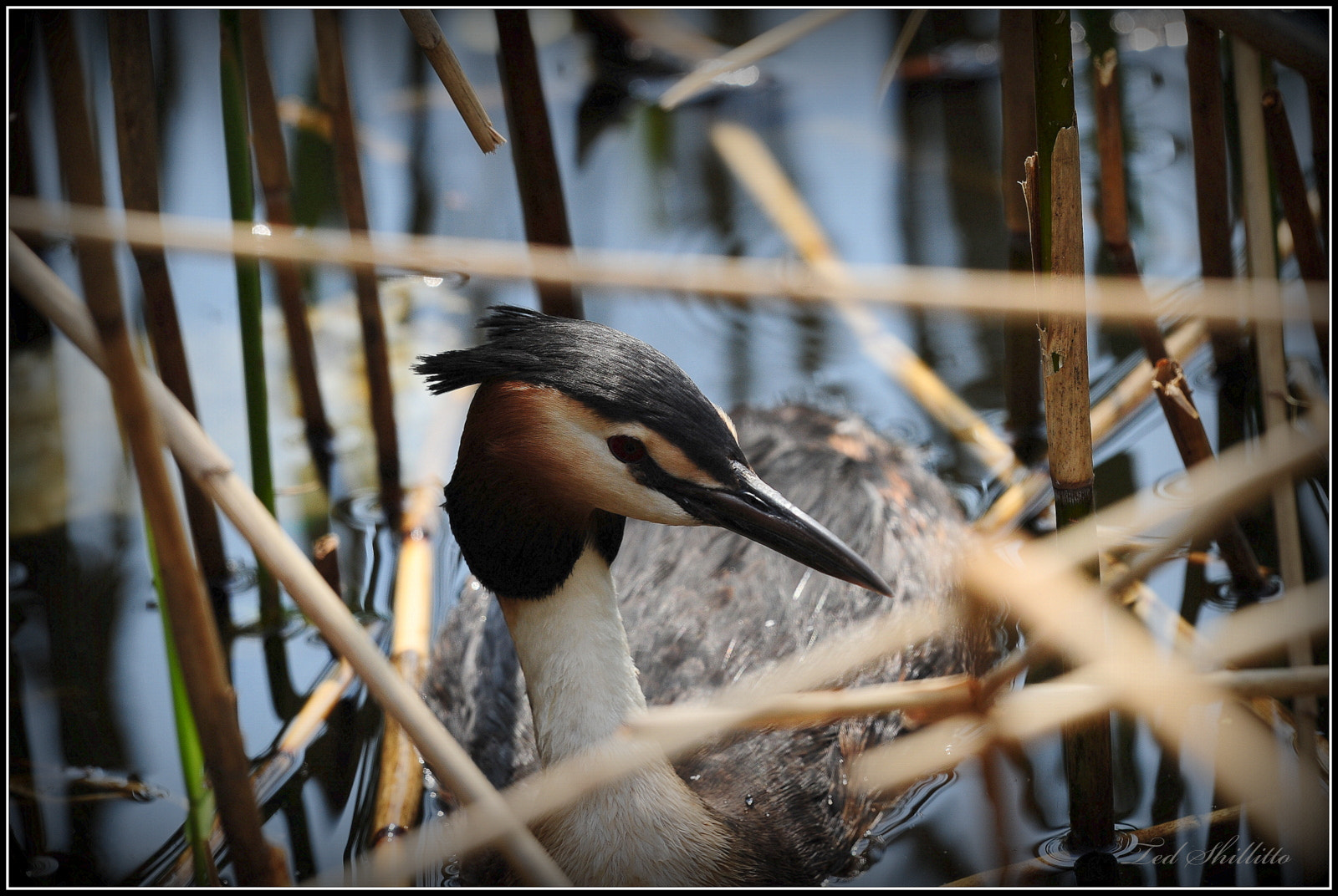 Nikon D3S sample photo. Ted_5859.jpg photography