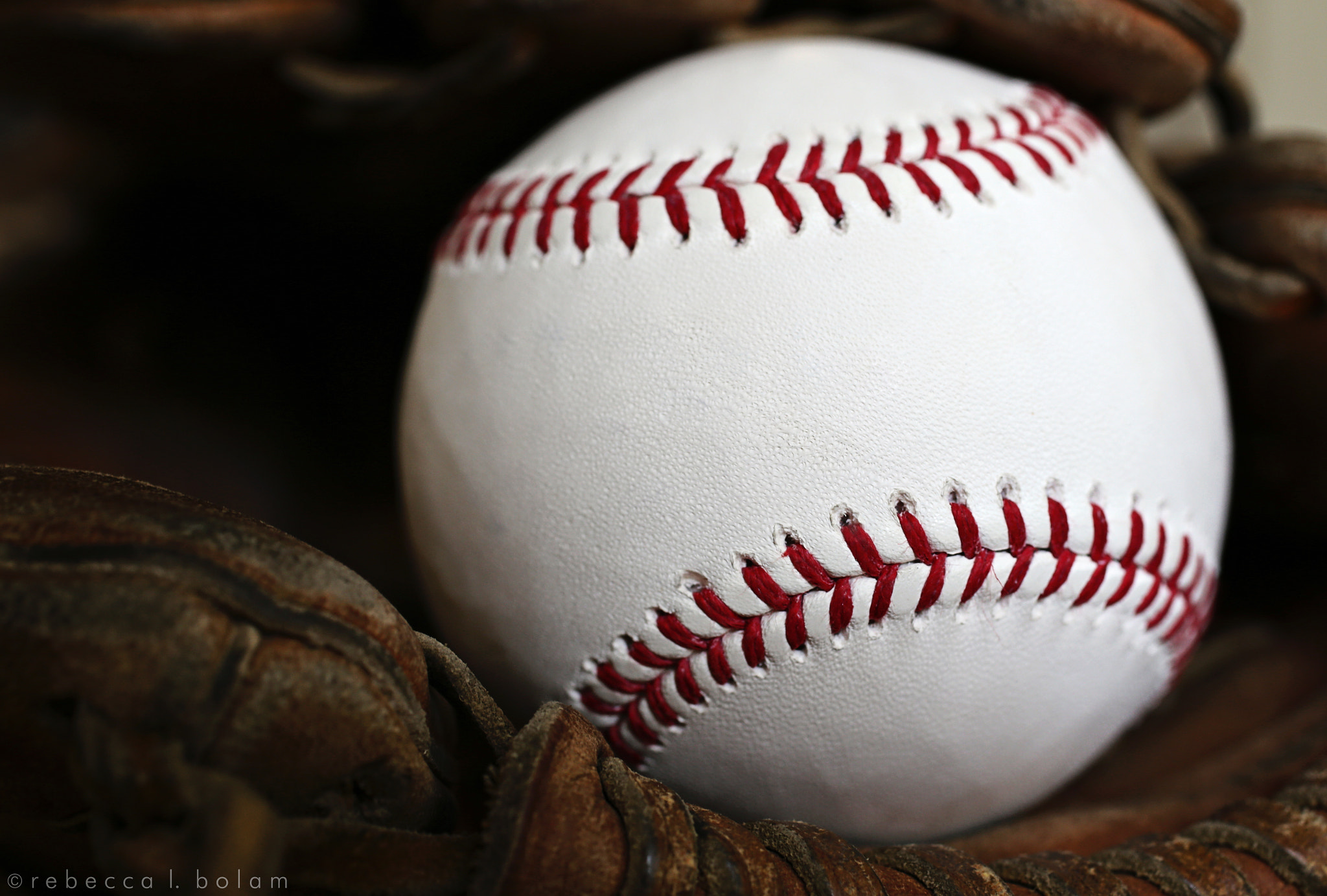 Canon EOS 6D + Canon EF 50mm F2.5 Macro sample photo. In the mood for baseball photography