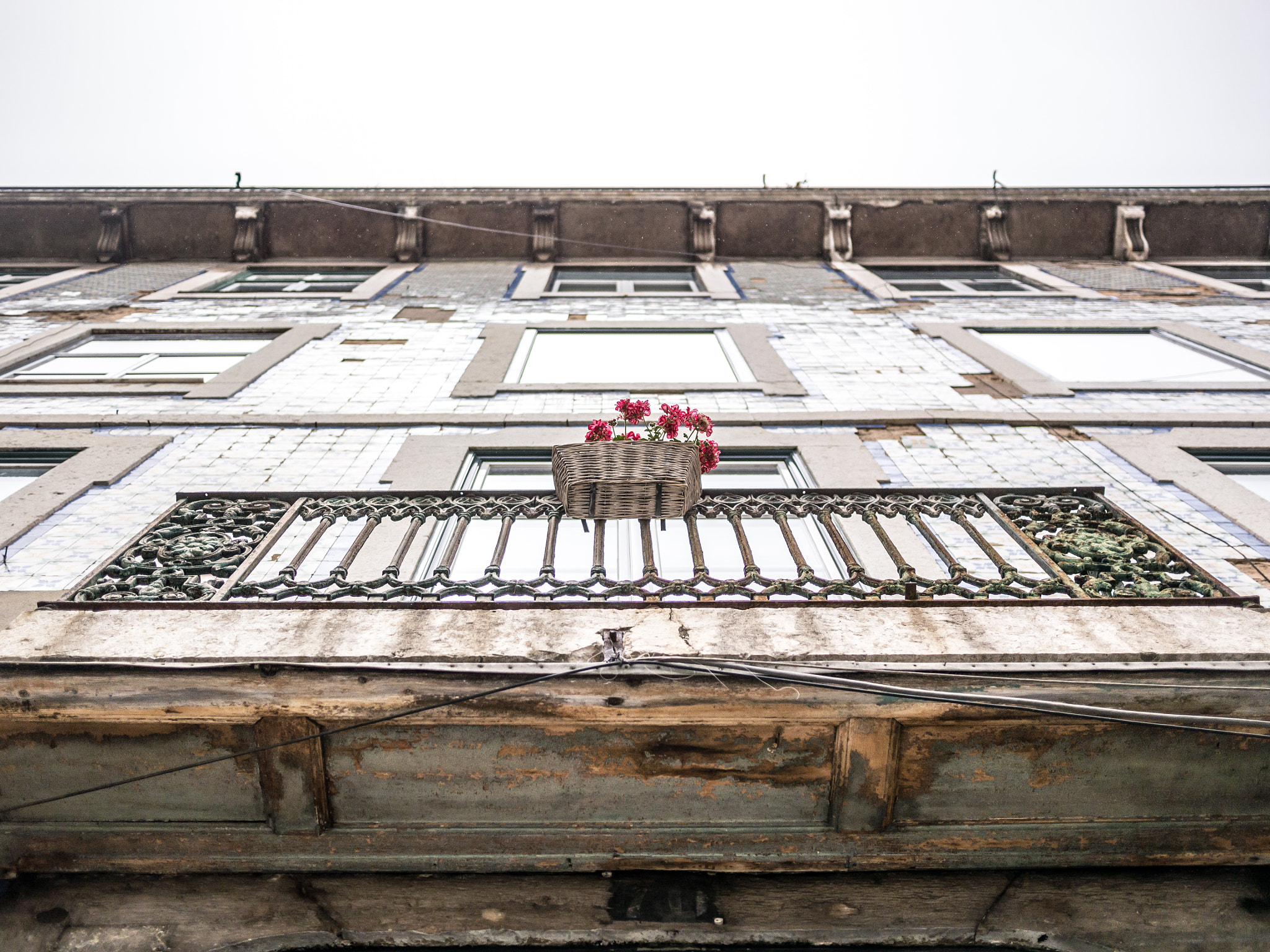 Panasonic Lumix DMC-G5 + Panasonic Lumix G 20mm F1.7 ASPH sample photo. Flowers in lisbon photography