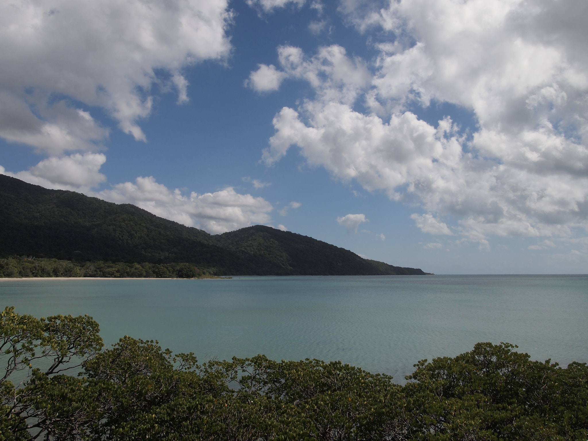 Olympus PEN E-PL2 sample photo. Cape tribulation photography