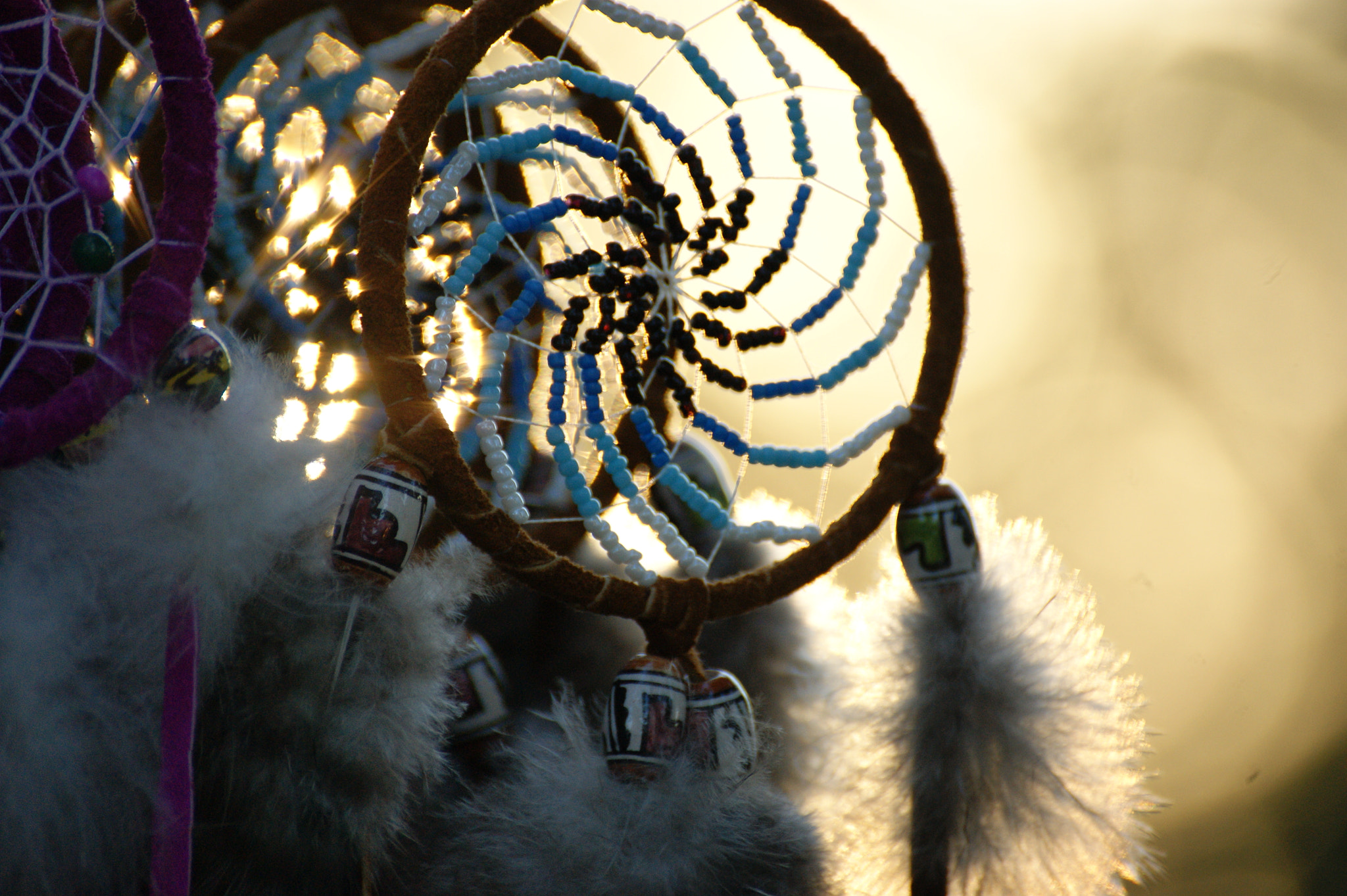 Sony Alpha DSLR-A390 sample photo. When i dream photography