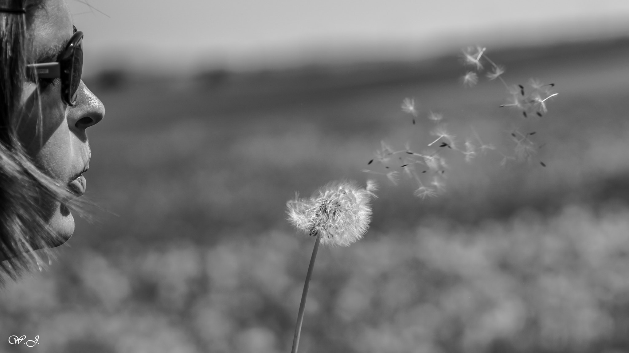 Sony ILCA-77M2 + Tamron SP AF 90mm F2.8 Di Macro sample photo. Windy photography