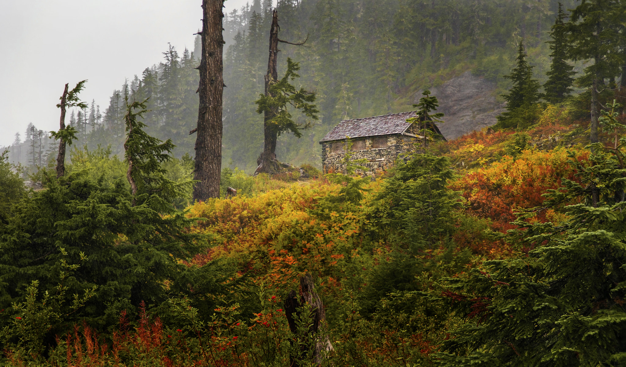 Nikon AF Nikkor 24-85mm F2.8-4D IF sample photo. Mountain cabin photography