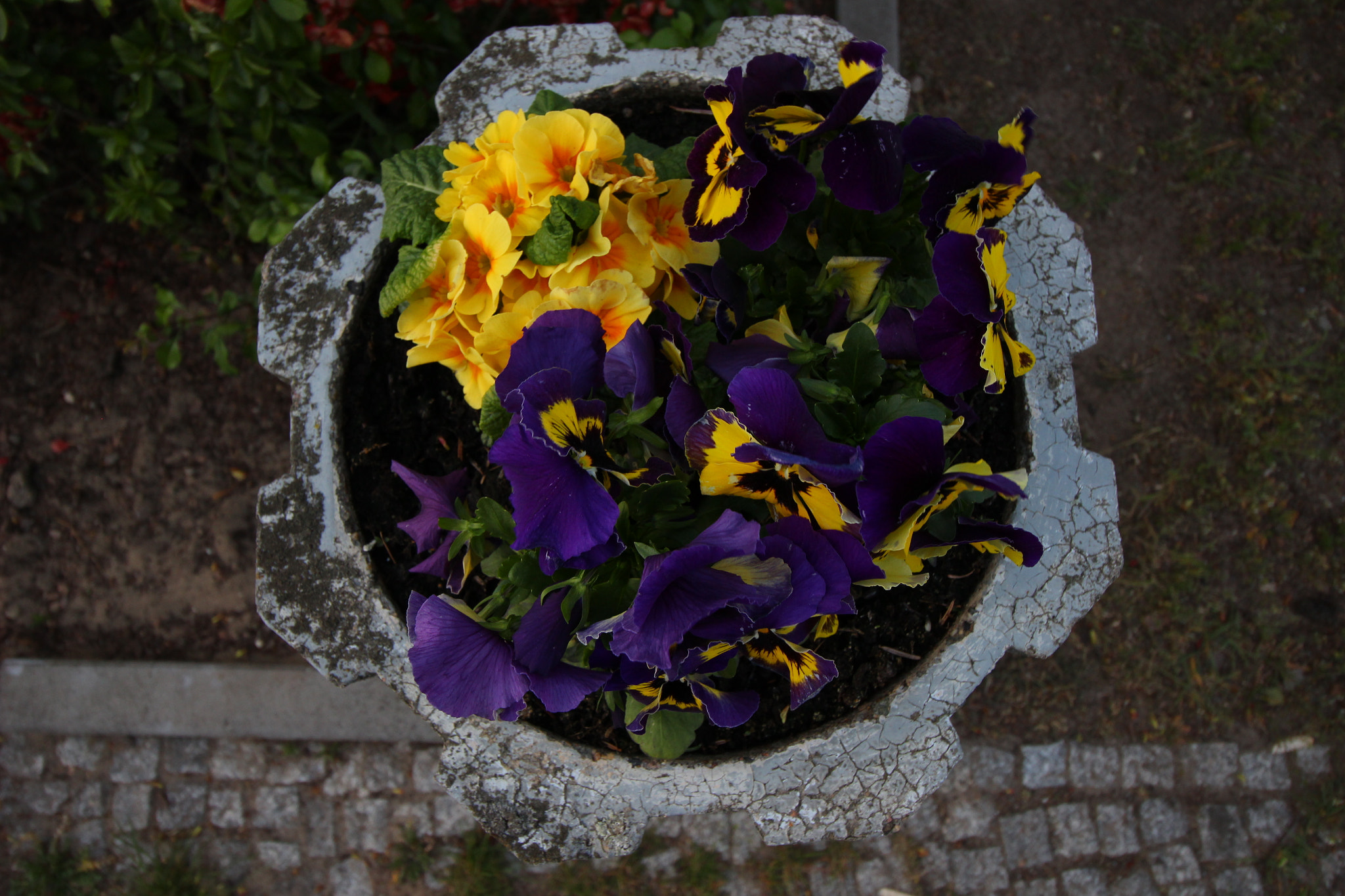 Canon EF-S 10-18mm F4.5–5.6 IS STM sample photo. Img_2831.jpg photography