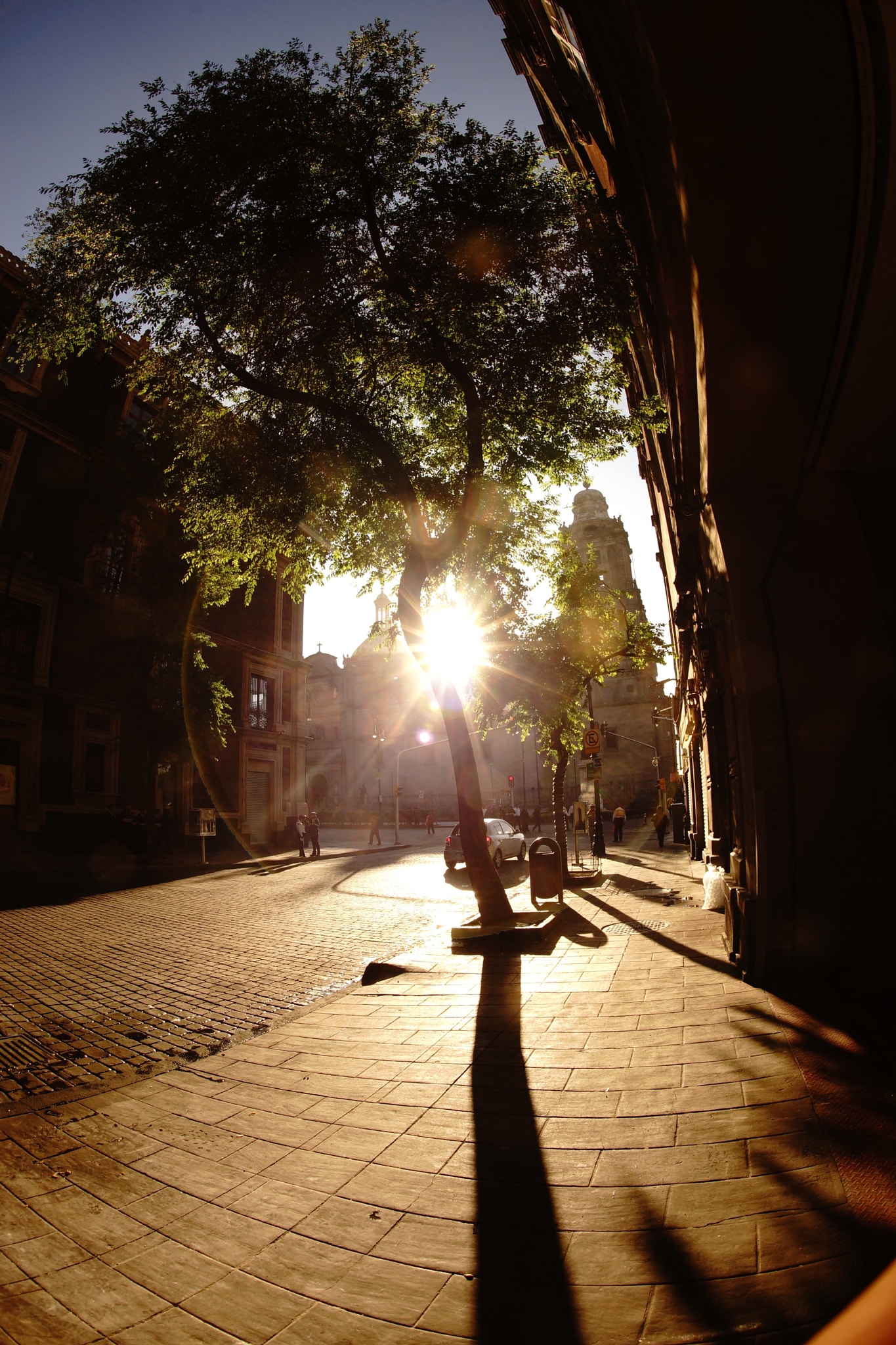 Sony a99 II + Sony 16mm F2.8 Fisheye sample photo. Luz matutina en cdmx photography