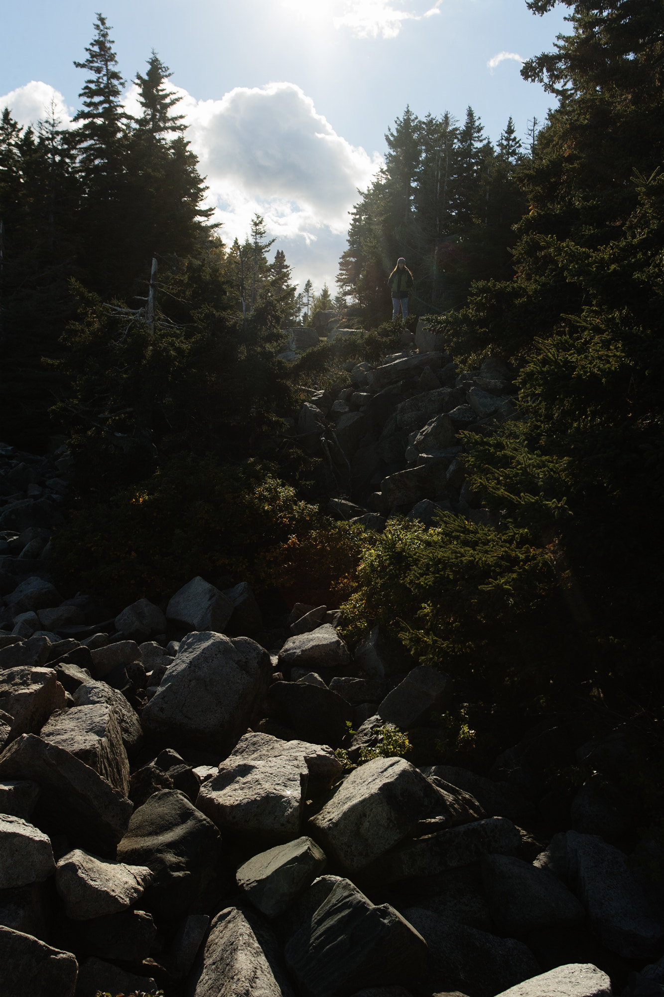 Canon EOS-1D Mark II N sample photo. Rocky coast photography