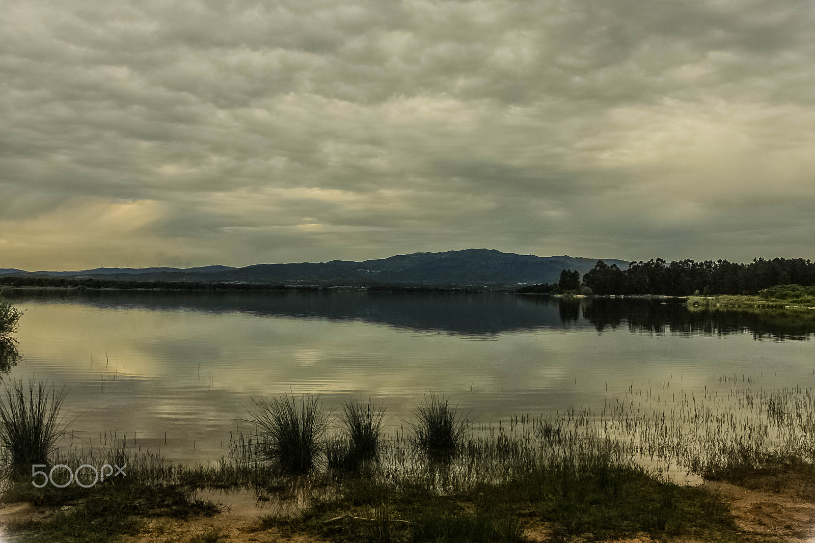Canon EOS 40D sample photo. Serra da gardunha photography