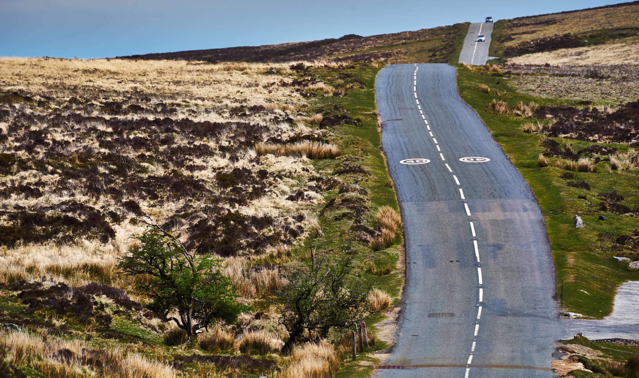 Sony a7 + Tamron SP 70-300mm F4-5.6 Di USD sample photo. The road photography