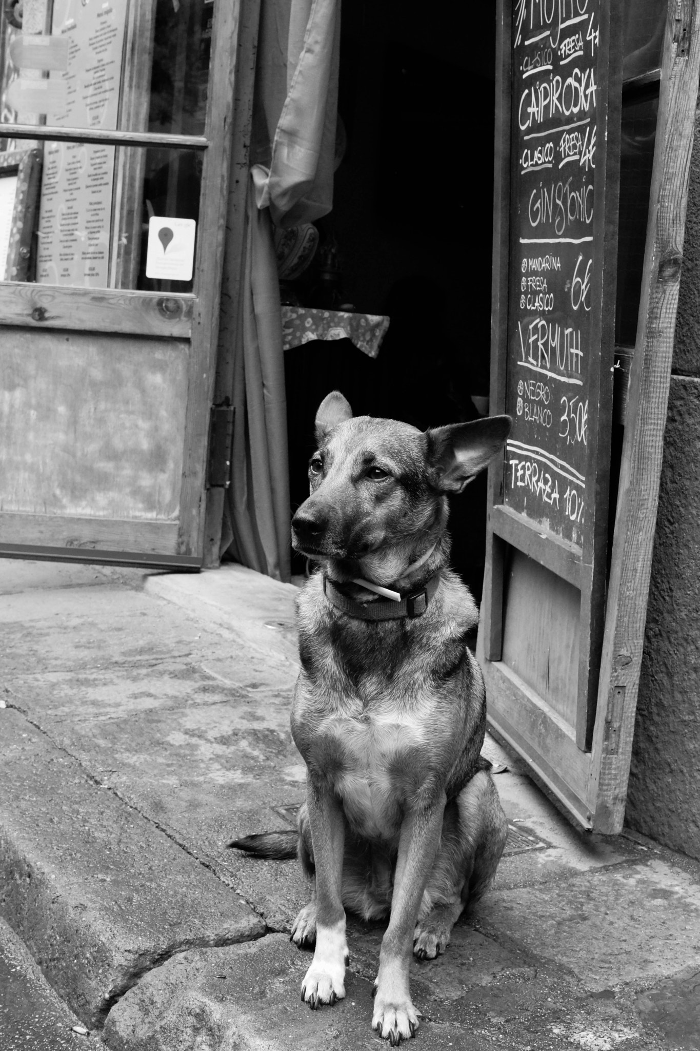 Sony SLT-A77 + Sony DT 35mm F1.8 SAM sample photo. Dogi photography