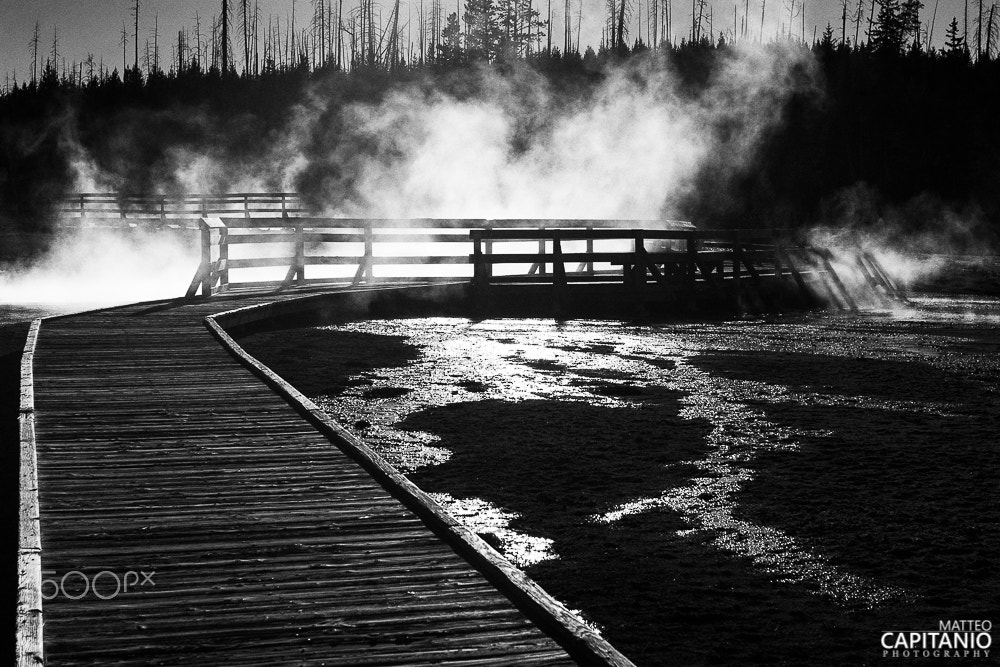 Canon EOS 30D + Canon EF 24-70mm F2.8L USM sample photo. Yellowstone national park photography