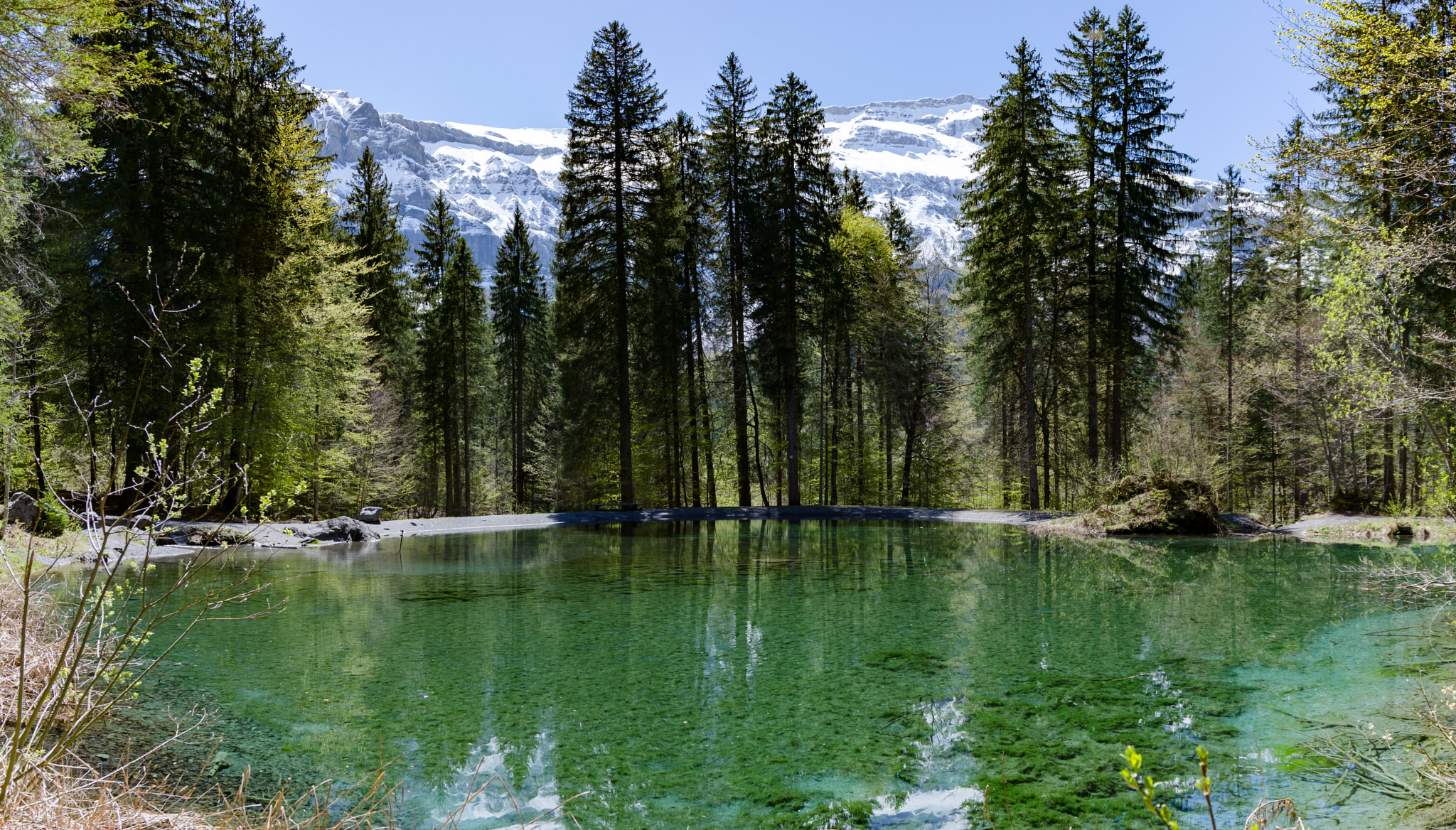 Nikon D7000 + Sigma 17-70mm F2.8-4 DC Macro OS HSM | C sample photo. Etang, sixt fer à cheval photography