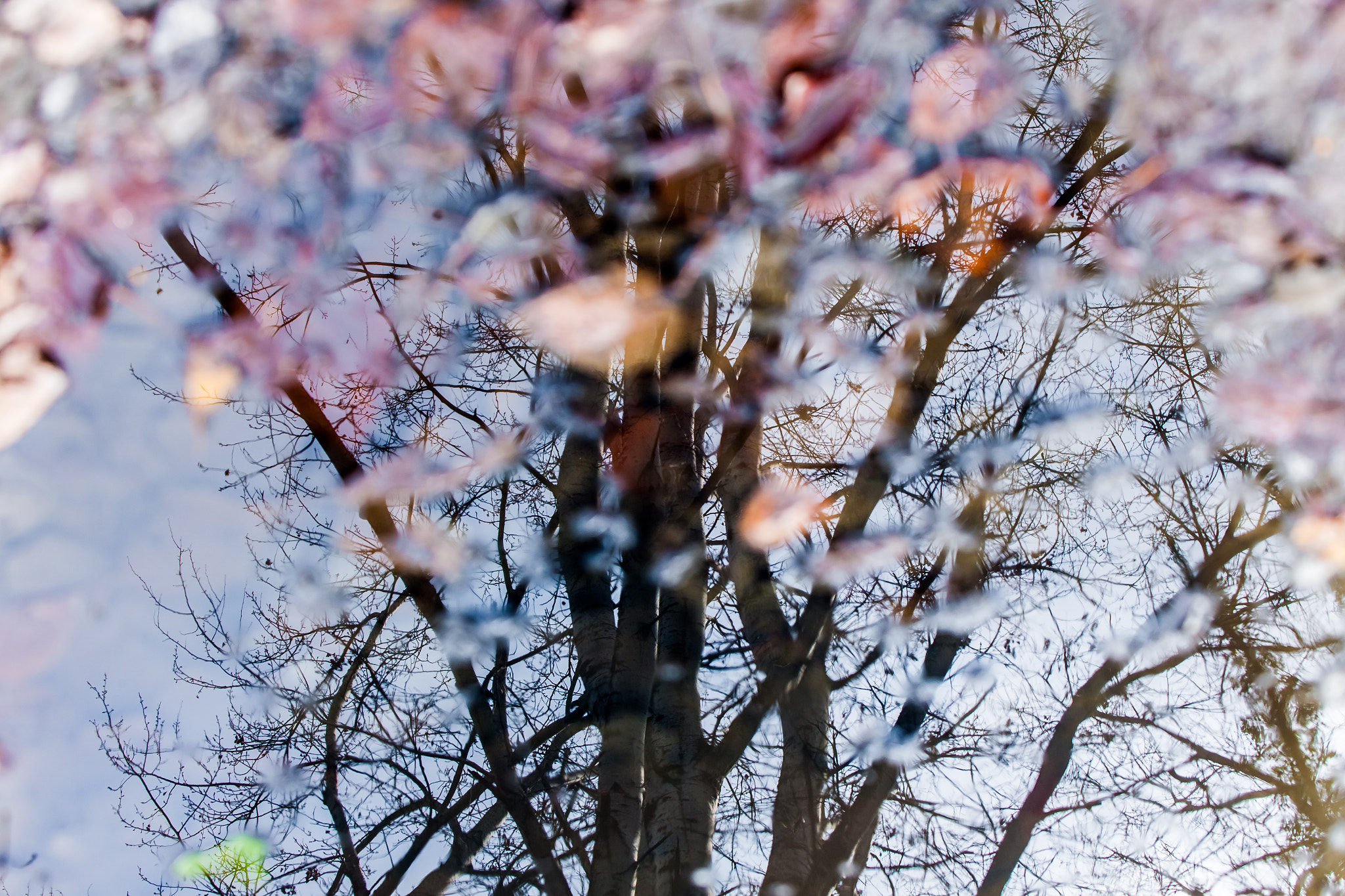Canon EOS-1Ds Mark III sample photo. You name the dark photography