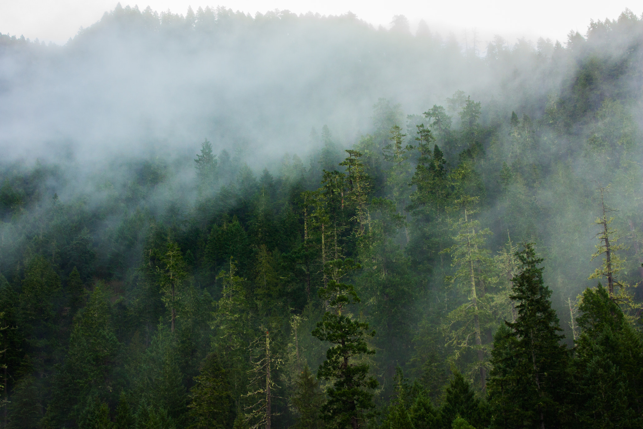 Canon EF 35-105mm f/4.5-5.6 USM sample photo. A foggy afternoon photography