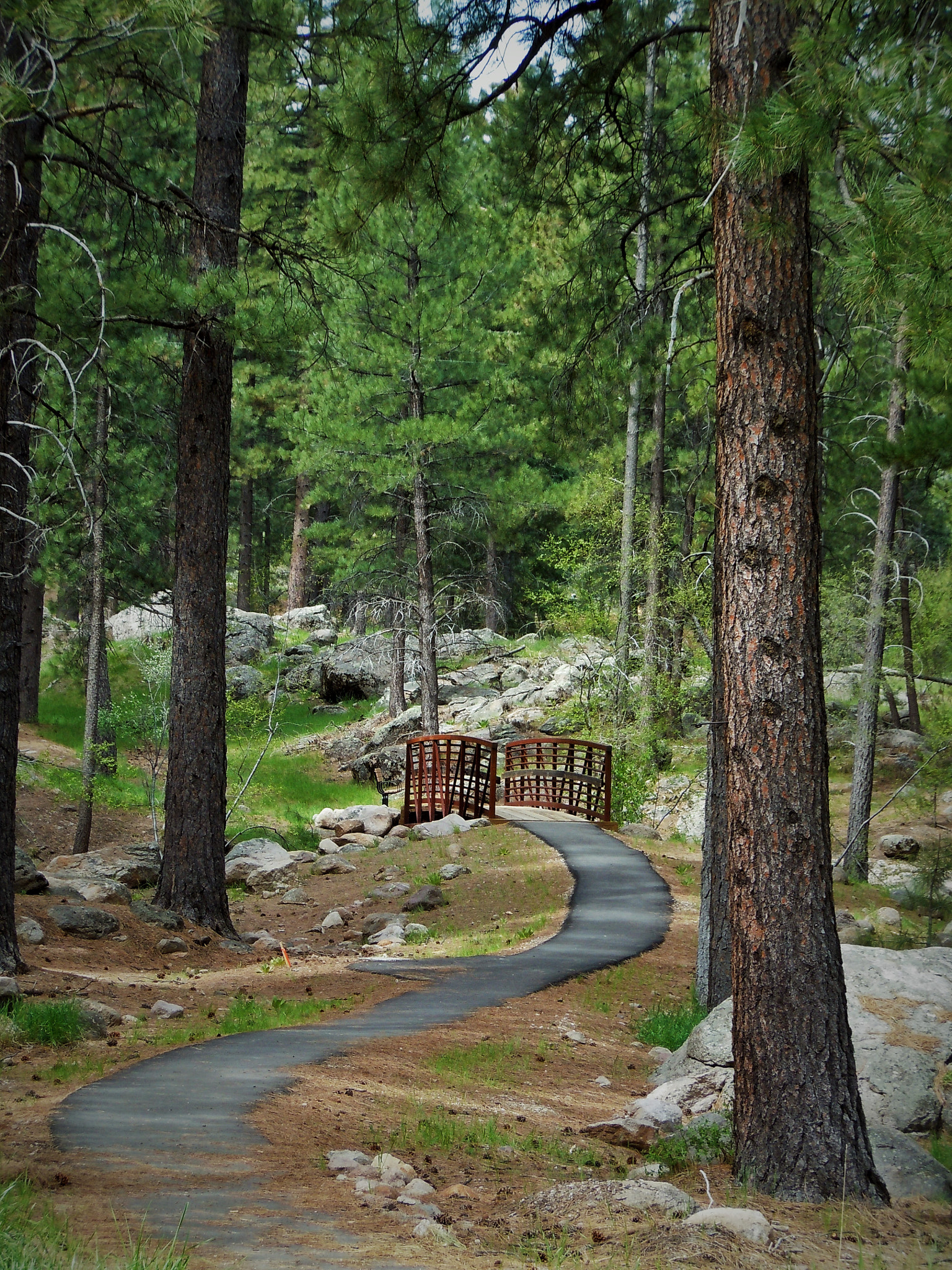 Nikon Coolpix S6000 sample photo. The bridge in our path photography