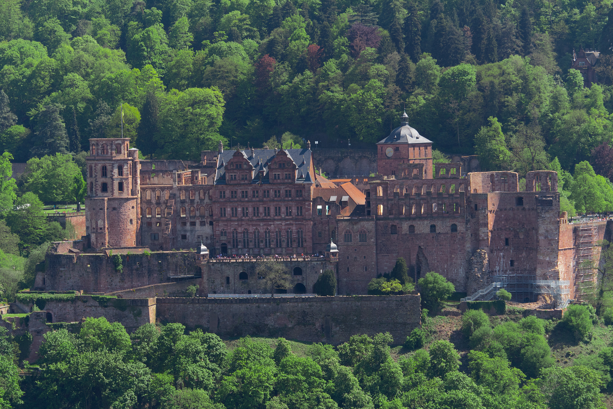 Canon EOS M2 + Canon EF-S 55-250mm F4-5.6 IS STM sample photo. Heidelberg schloss photography