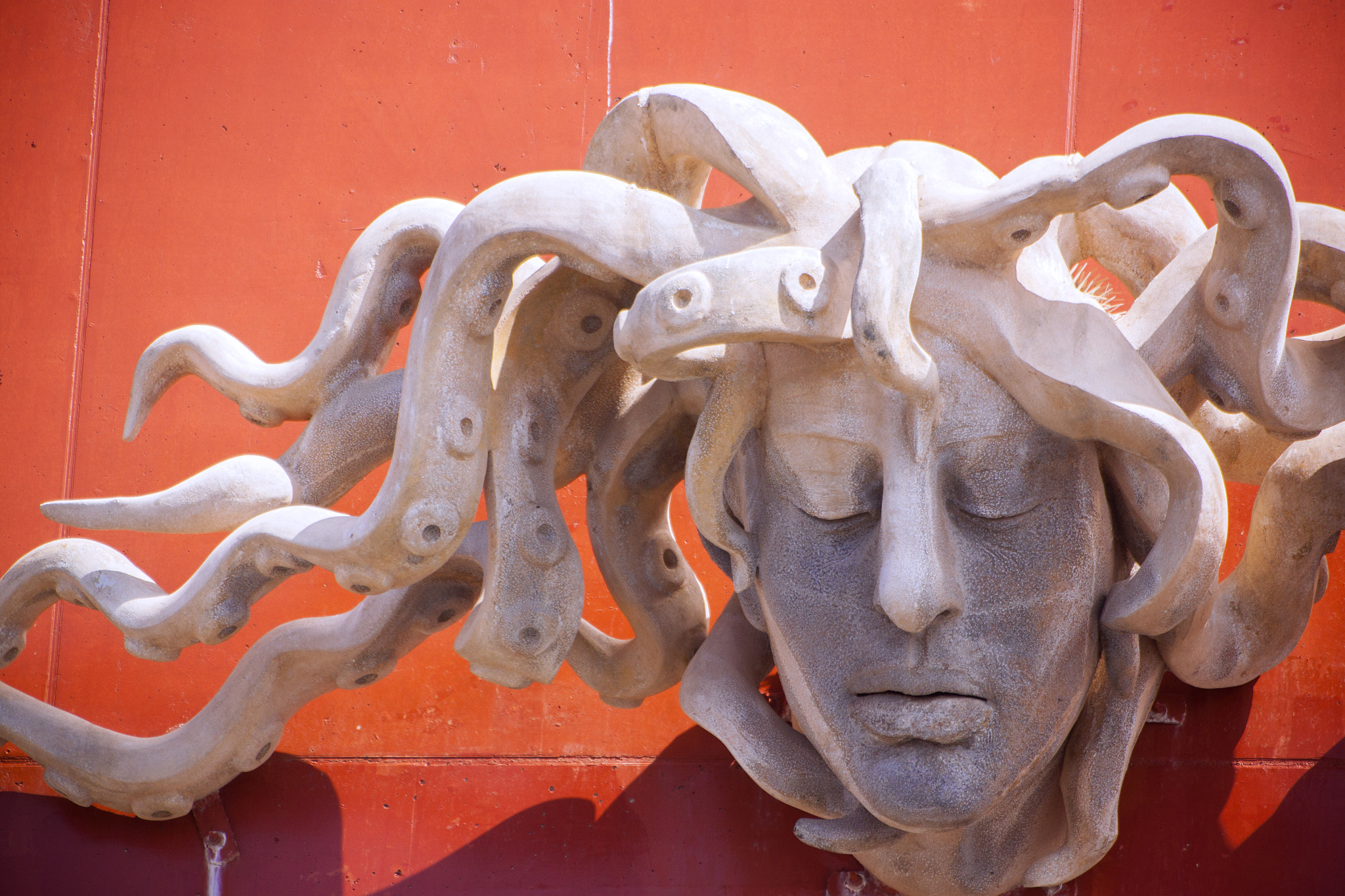 Sigma 70-300mm F4-5.6 APO DG Macro sample photo. Medusa photography