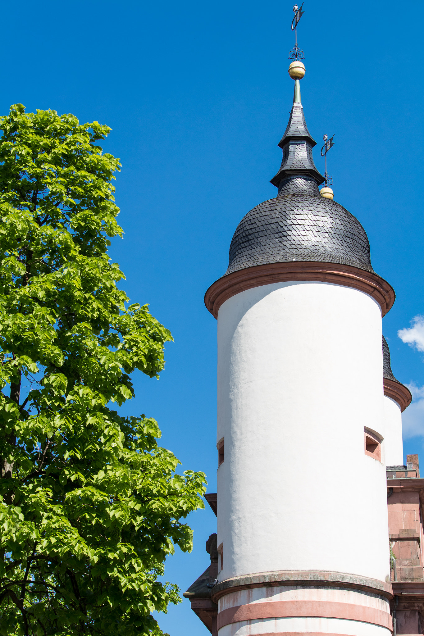 Canon EOS M2 sample photo. Baum und turm photography
