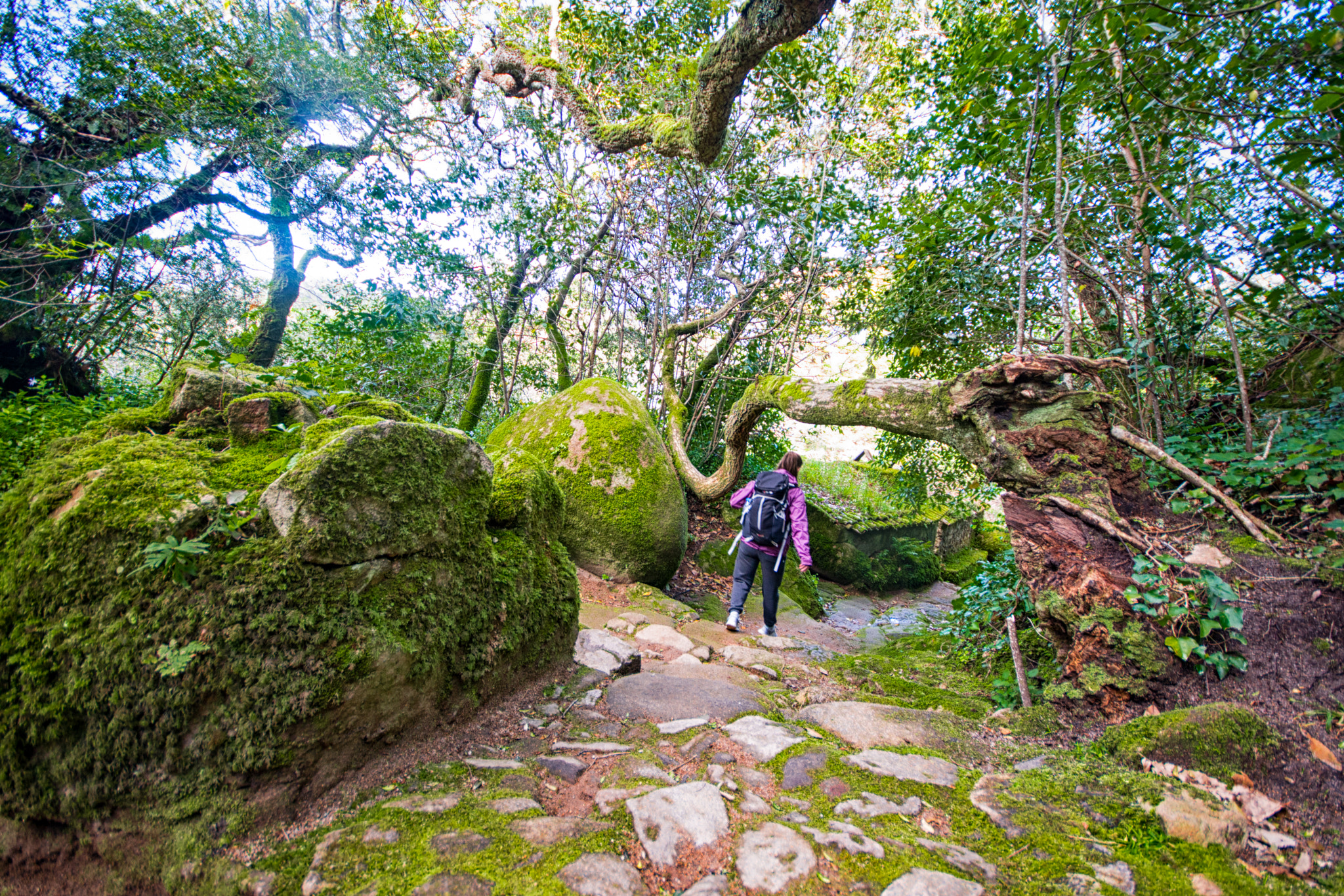 Sigma 10-20mm F4-5.6 EX DC HSM sample photo. Adventure was calling... photography