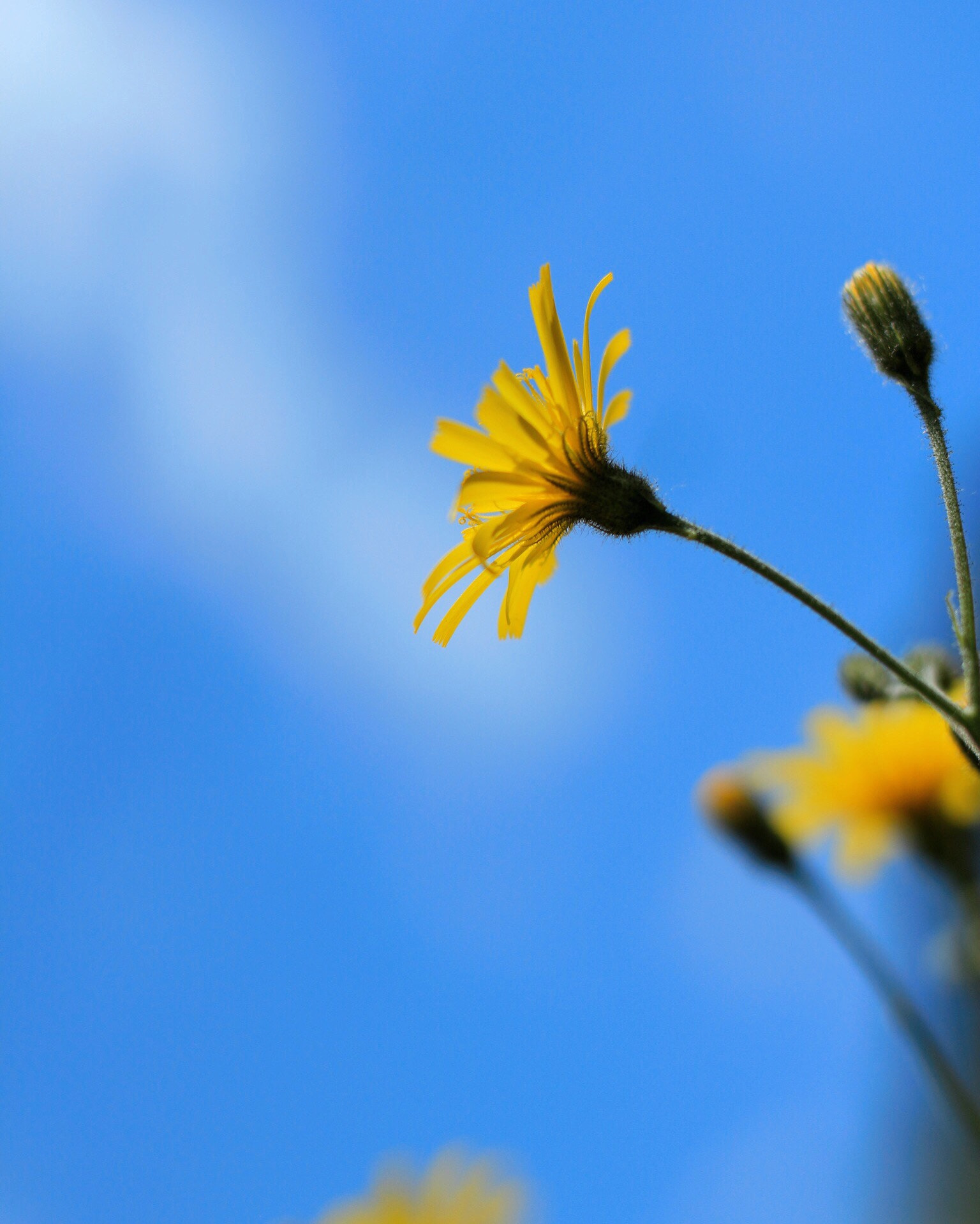 Canon EOS M + Canon EF 50mm F1.8 STM sample photo