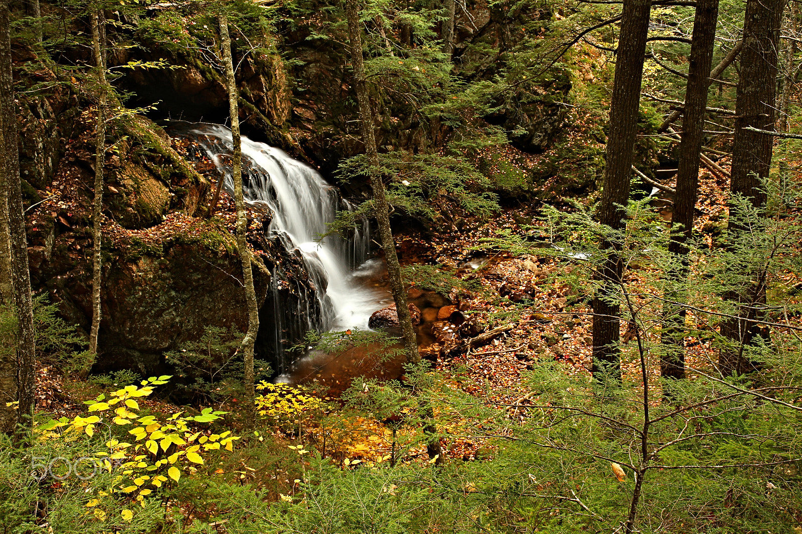 Canon EF 22-55mm f/4-5.6 USM sample photo. Horse pasture brook falls photography