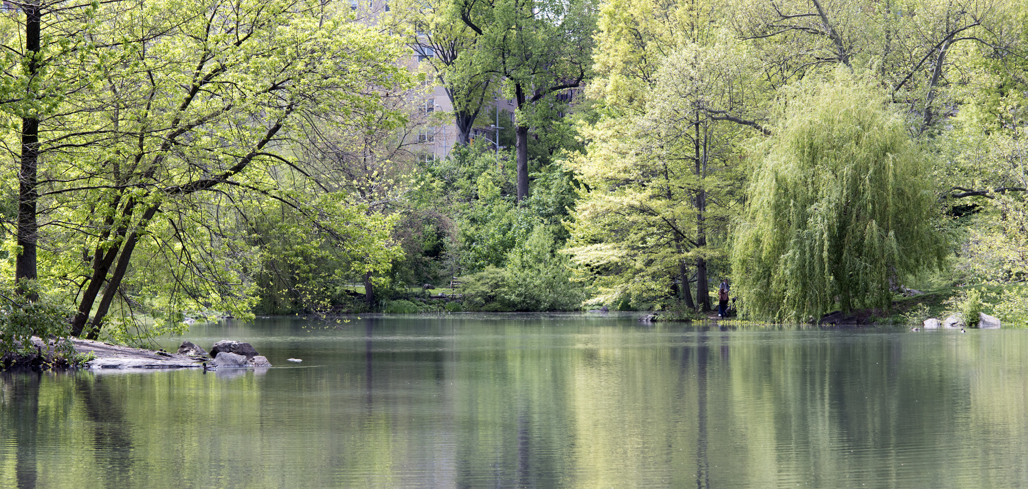 Nikon AF-S Micro-Nikkor 60mm F2.8G ED sample photo. The pool - central park north photography