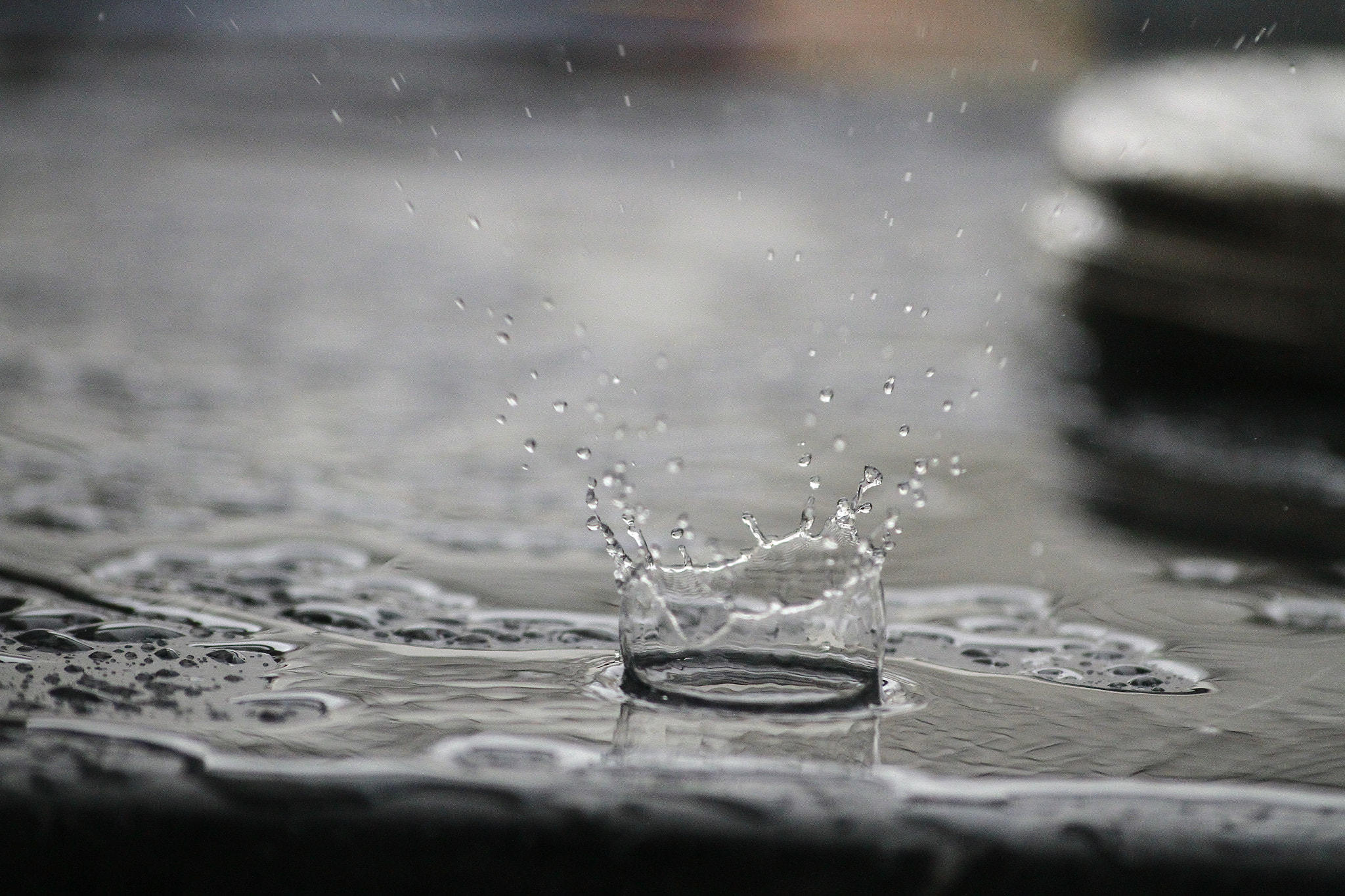 Sigma 70-300mm F4-5.6 APO DG Macro sample photo. Perfect timing photography