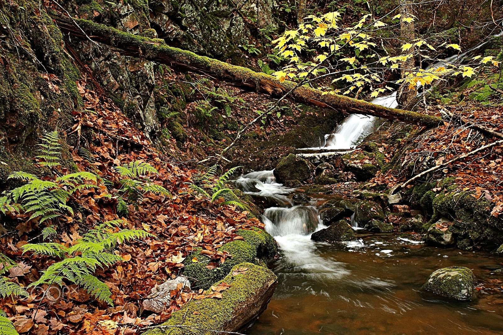 Canon EOS 6D + Canon EF 22-55mm f/4-5.6 USM sample photo. Westchester brook fall photography
