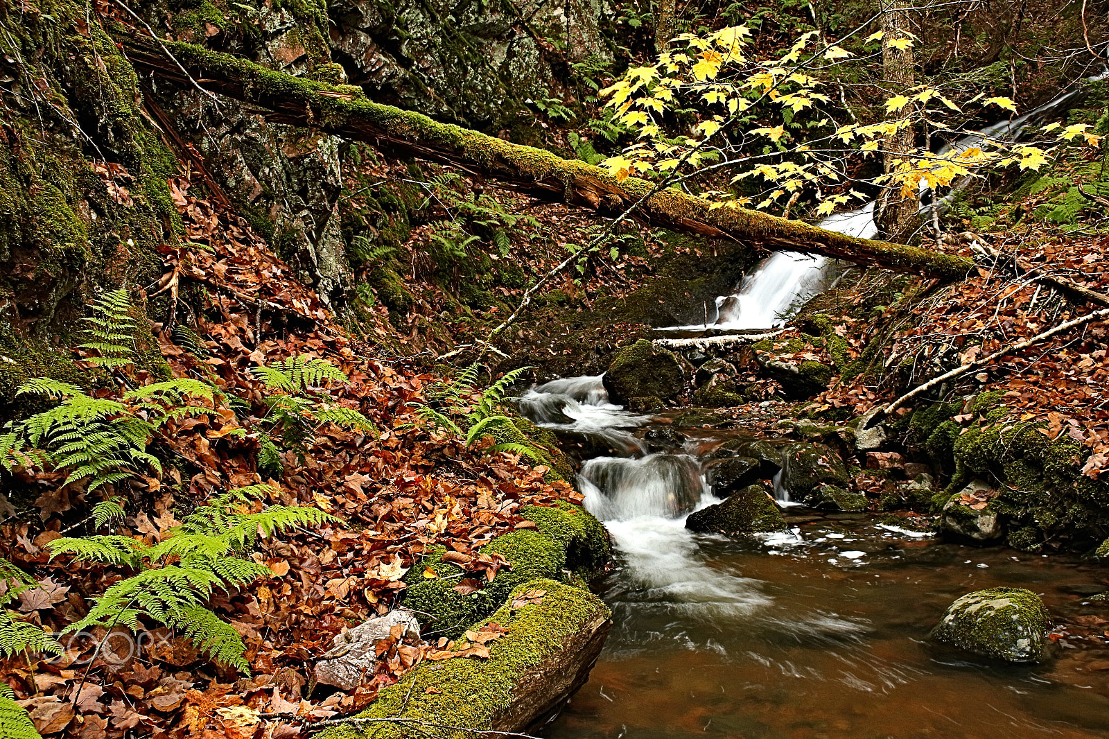 Canon EF 22-55mm f/4-5.6 USM sample photo. Westchester brook fall photography