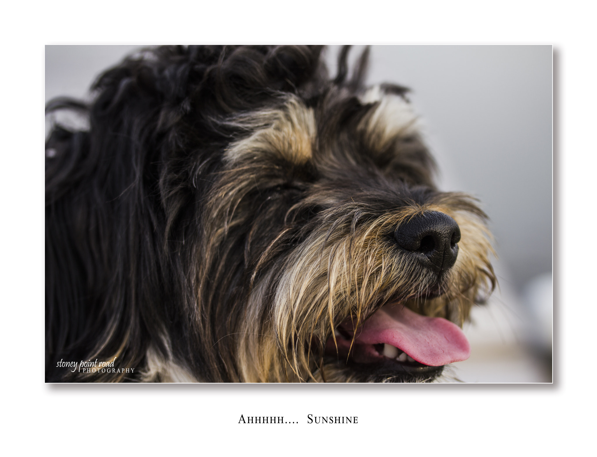 Canon EF-S 60mm F2.8 Macro USM sample photo. Feel good photography