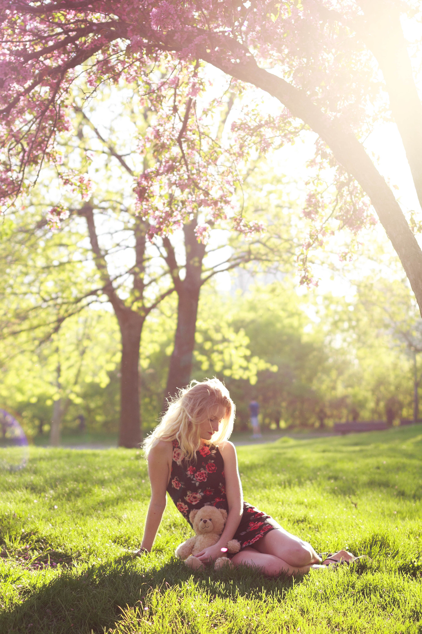 Sigma 50mm F1.4 EX DG HSM sample photo. First sun photography