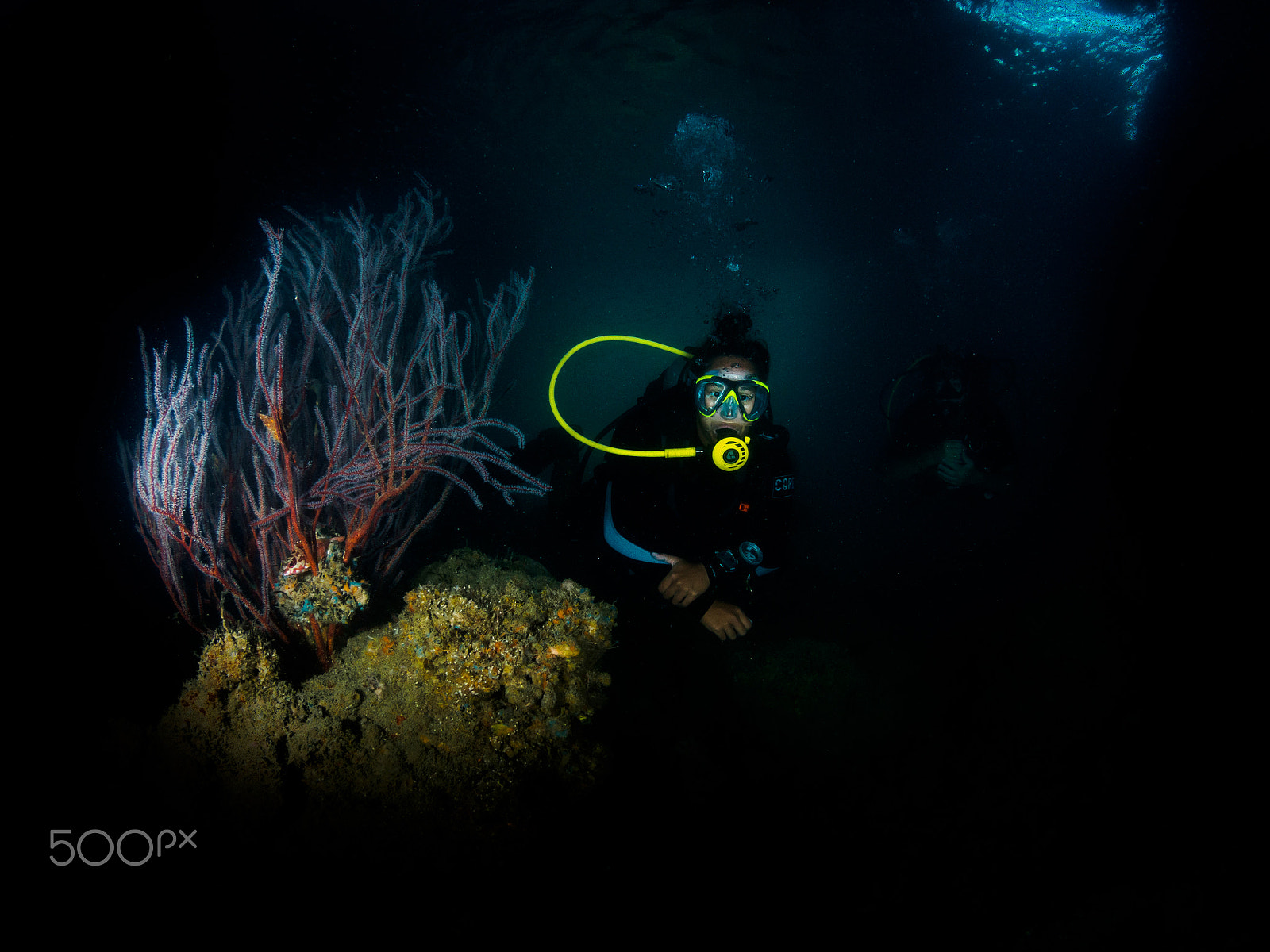 Olympus OM-D E-M5 + LUMIX G FISHEYE 8/F3.5 sample photo. Diving thailand photography