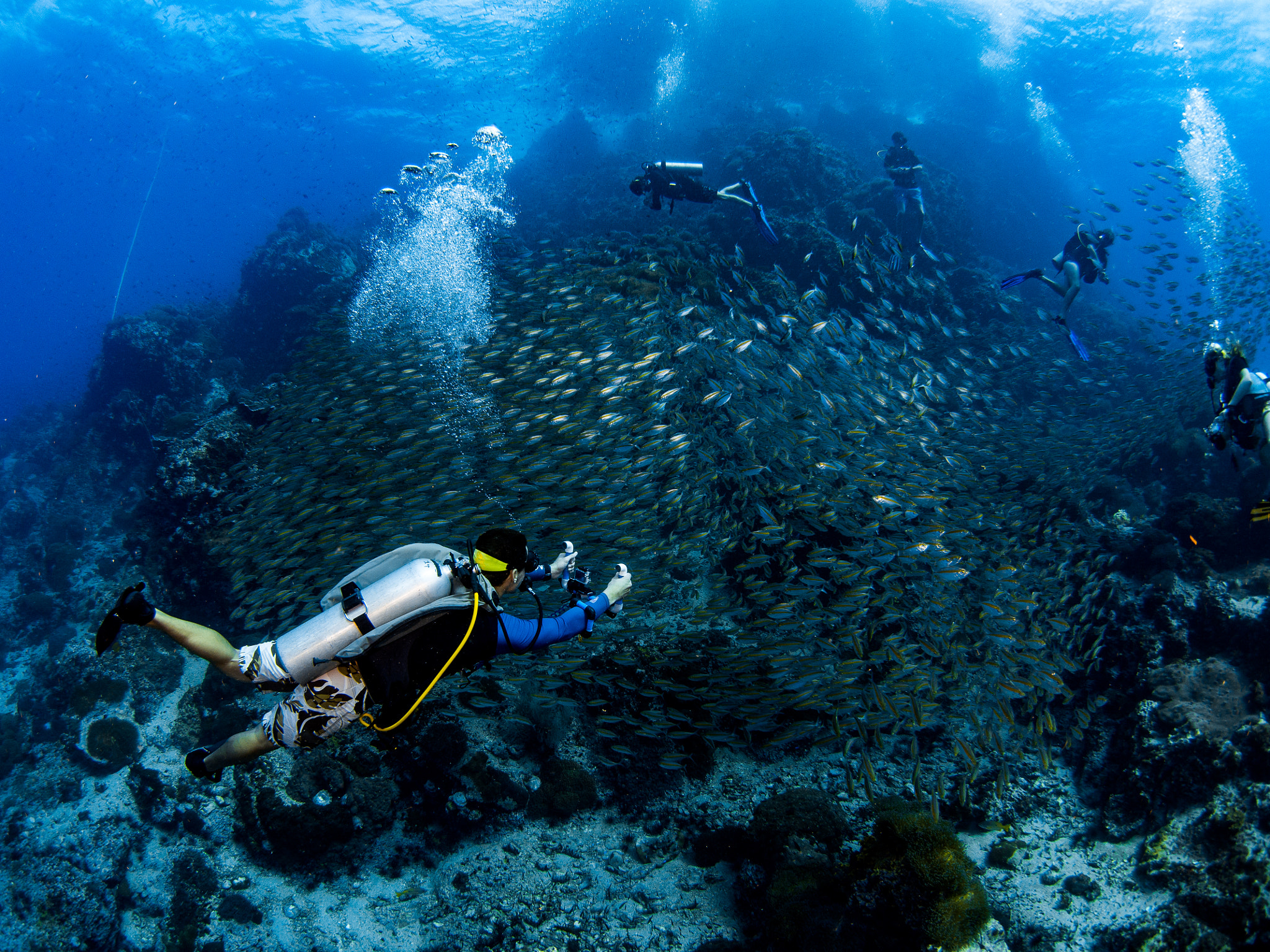 Olympus OM-D E-M5 + LUMIX G FISHEYE 8/F3.5 sample photo. Diving thailand photography