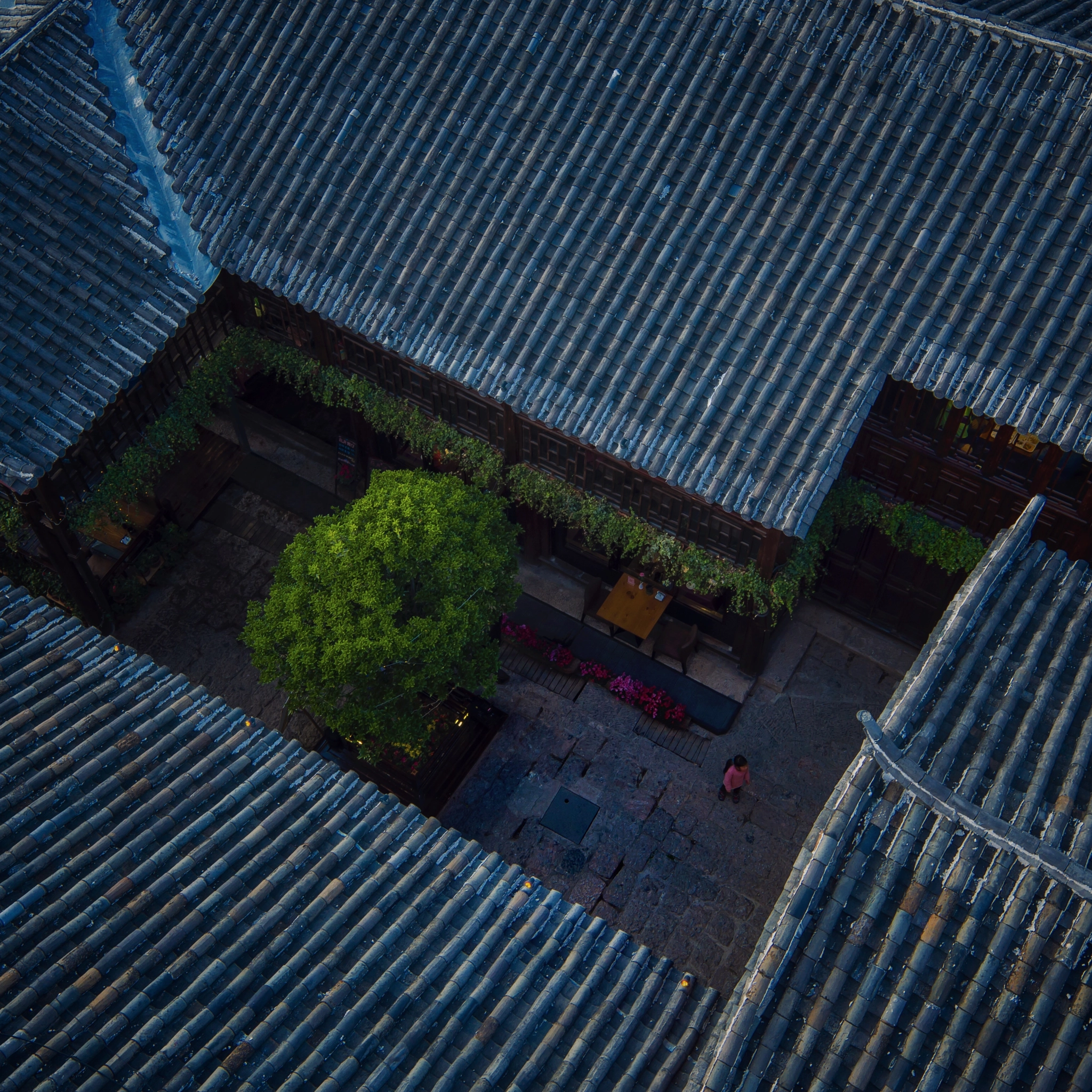 DJI FC550 sample photo. 丽江小院 photography