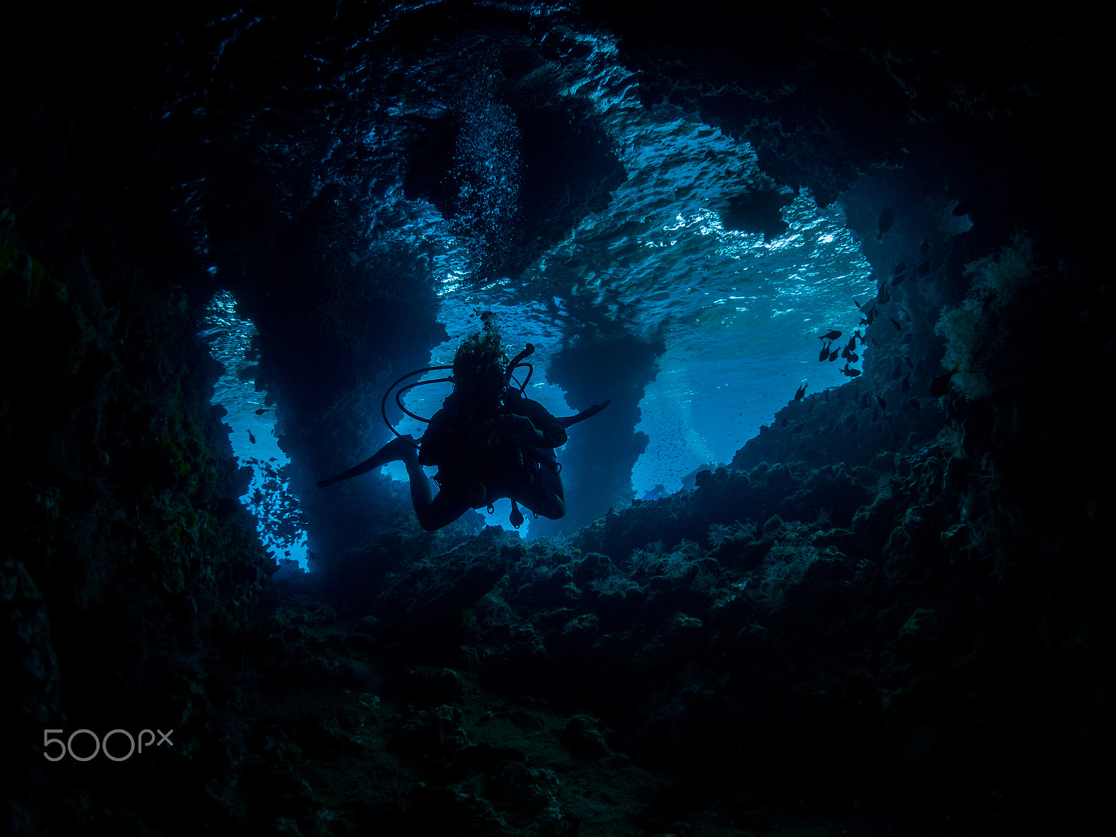 Olympus OM-D E-M5 + LUMIX G FISHEYE 8/F3.5 sample photo. Diving thailand photography