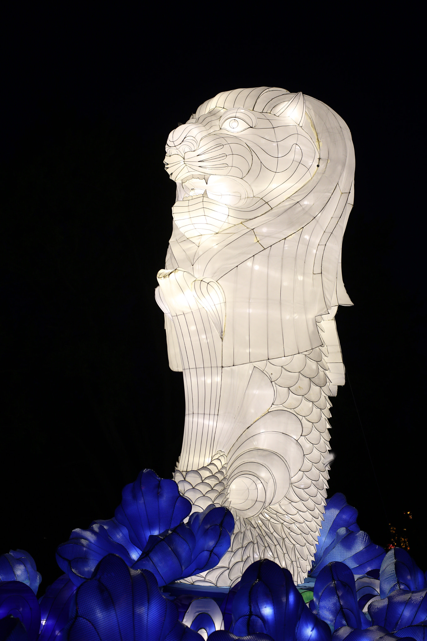 Canon 50mm sample photo. Sea lion lantern photography