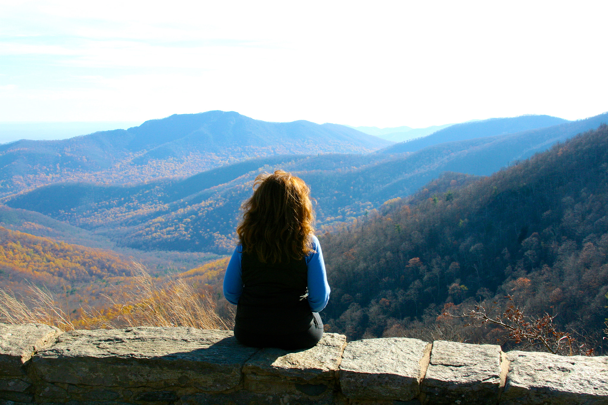 Canon EOS 30D + Canon EF 28-135mm F3.5-5.6 IS USM sample photo. Lost in thought.  skyline drive.  shenandoah national park. photography