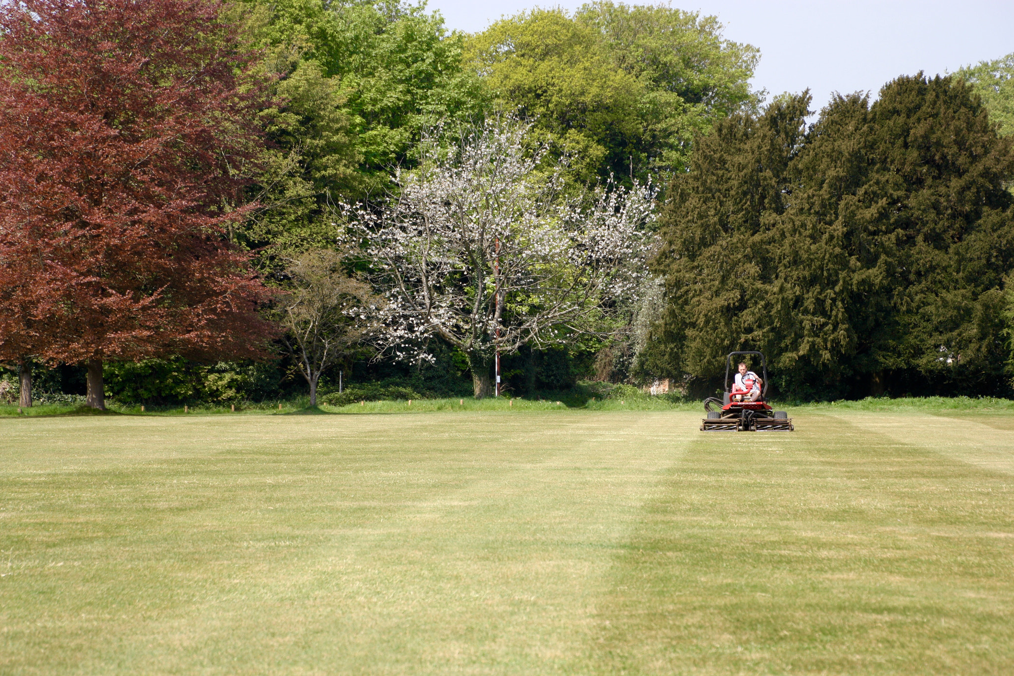 Canon EOS 450D (EOS Rebel XSi / EOS Kiss X2) sample photo. Preparing the ground for the first cricket match of the season photography