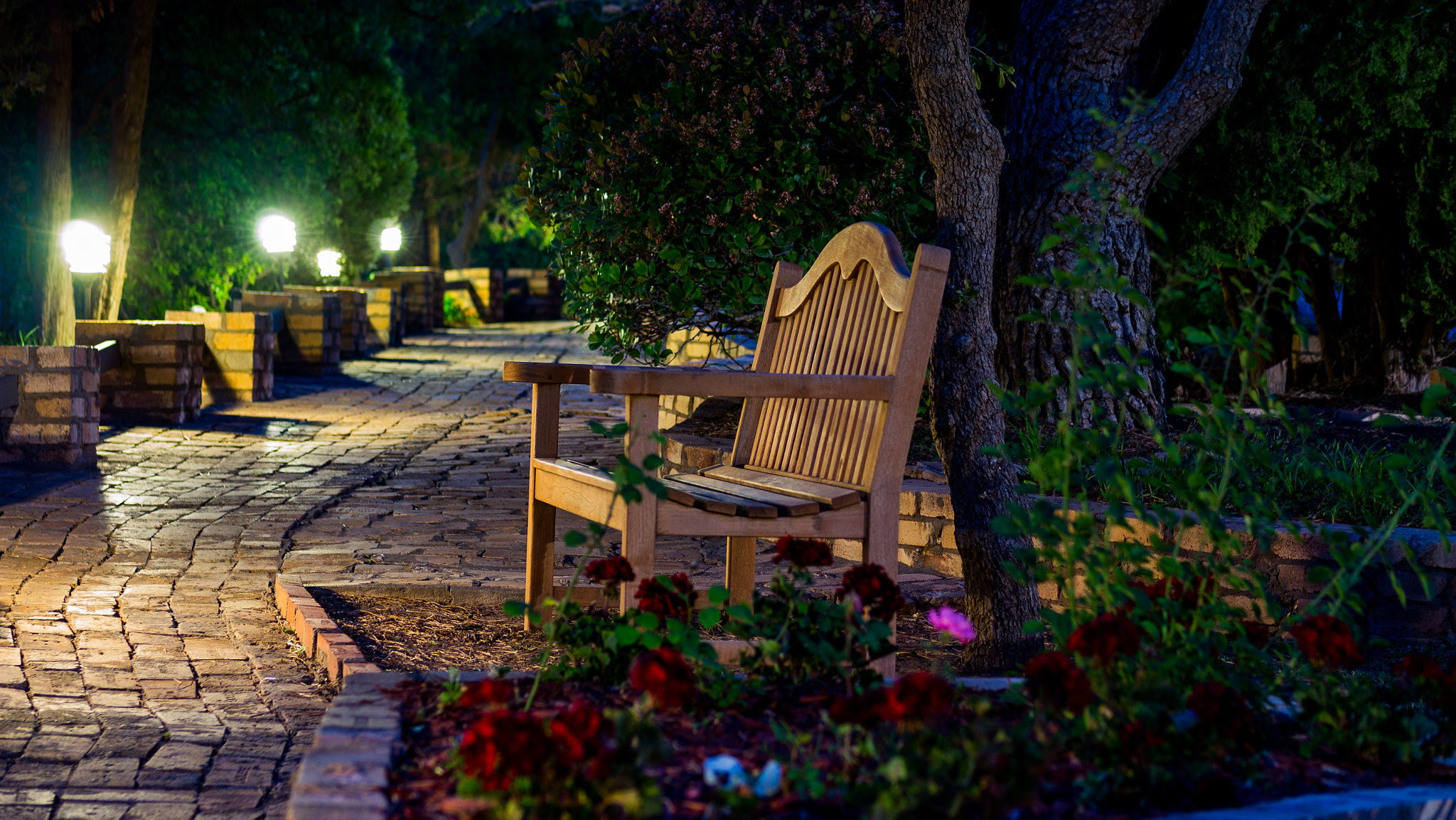 Panasonic Lumix G 42.5mm F1.7 ASPH Power OIS sample photo. Benches and paths... photography