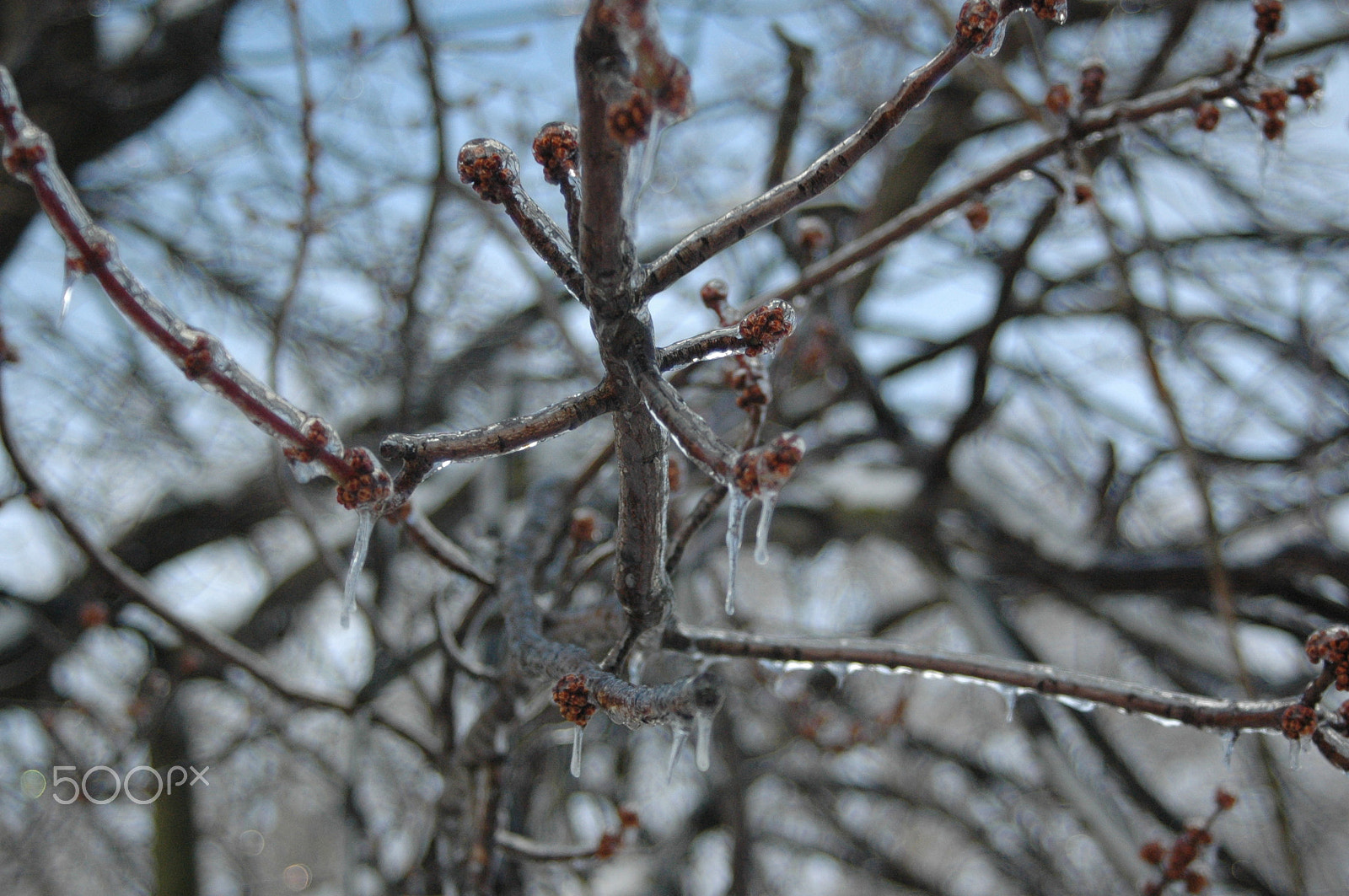 Sigma 28-90mm F3.5-5.6 Macro sample photo. () photography